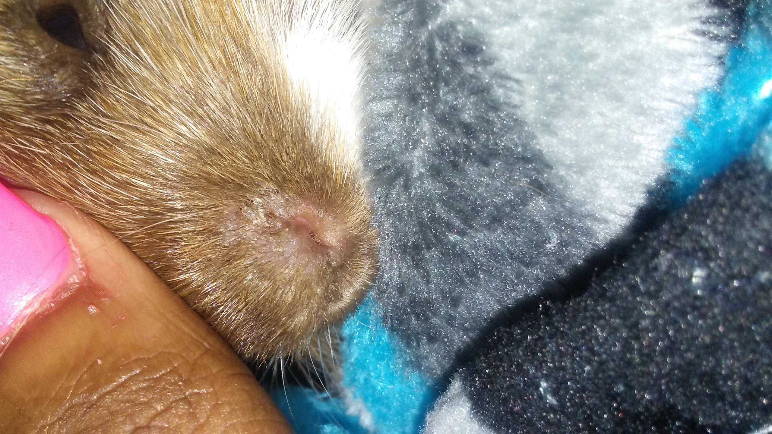 Question details sensitive content