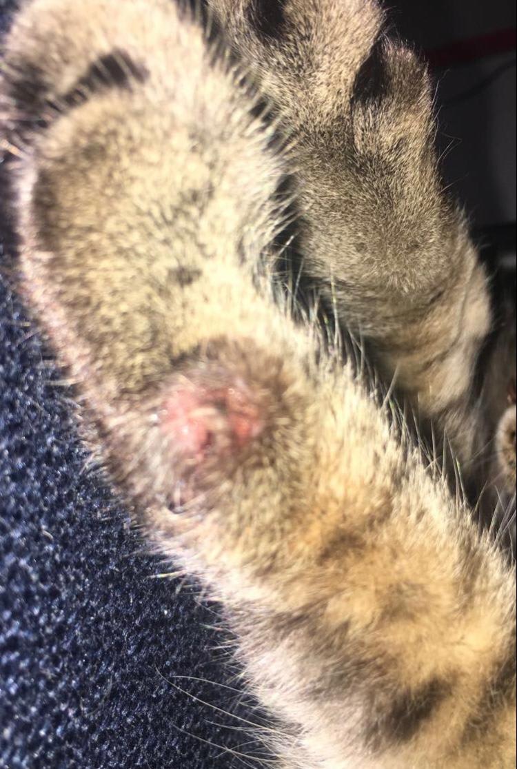 Question details sensitive content