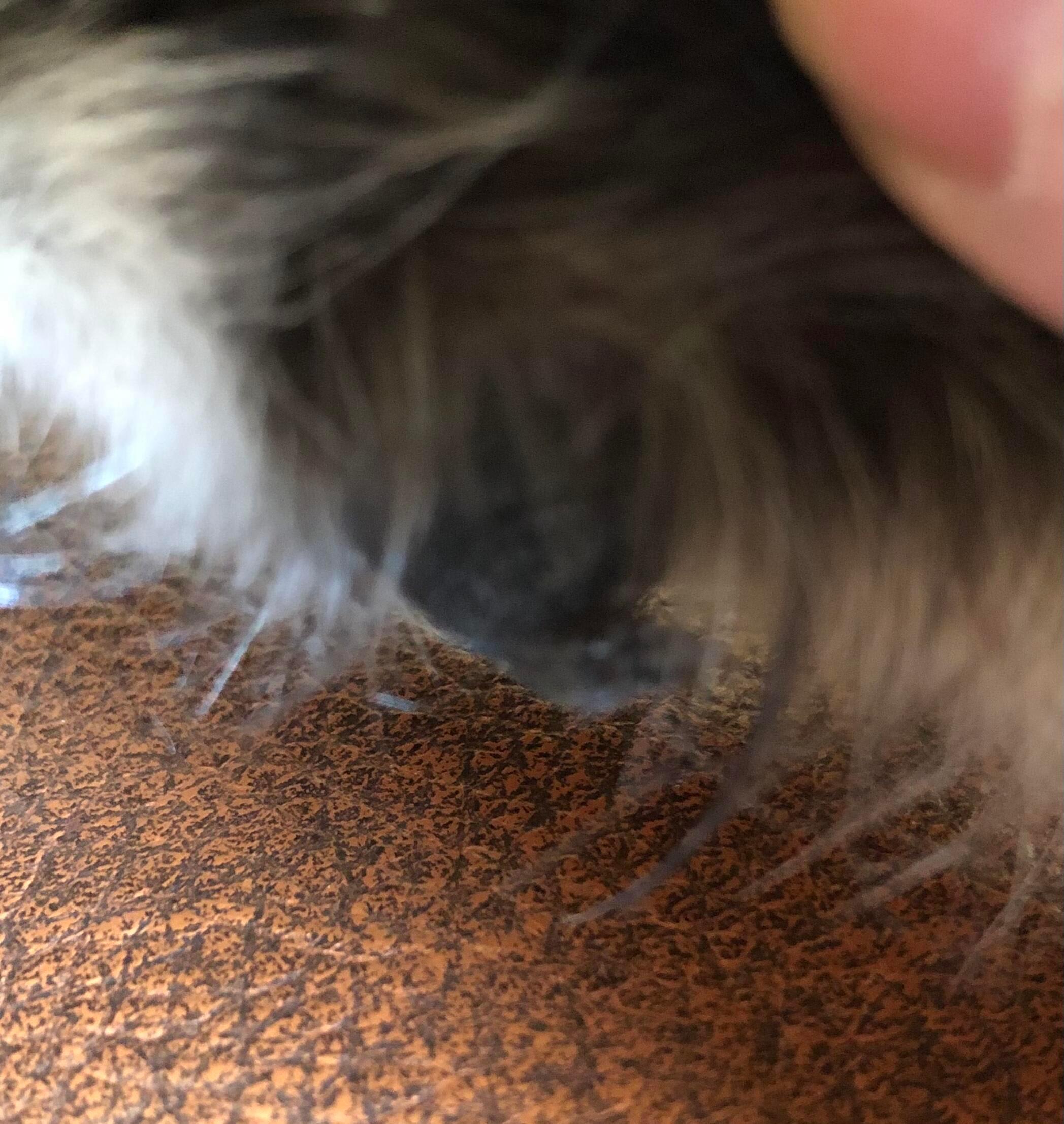 Question details sensitive content