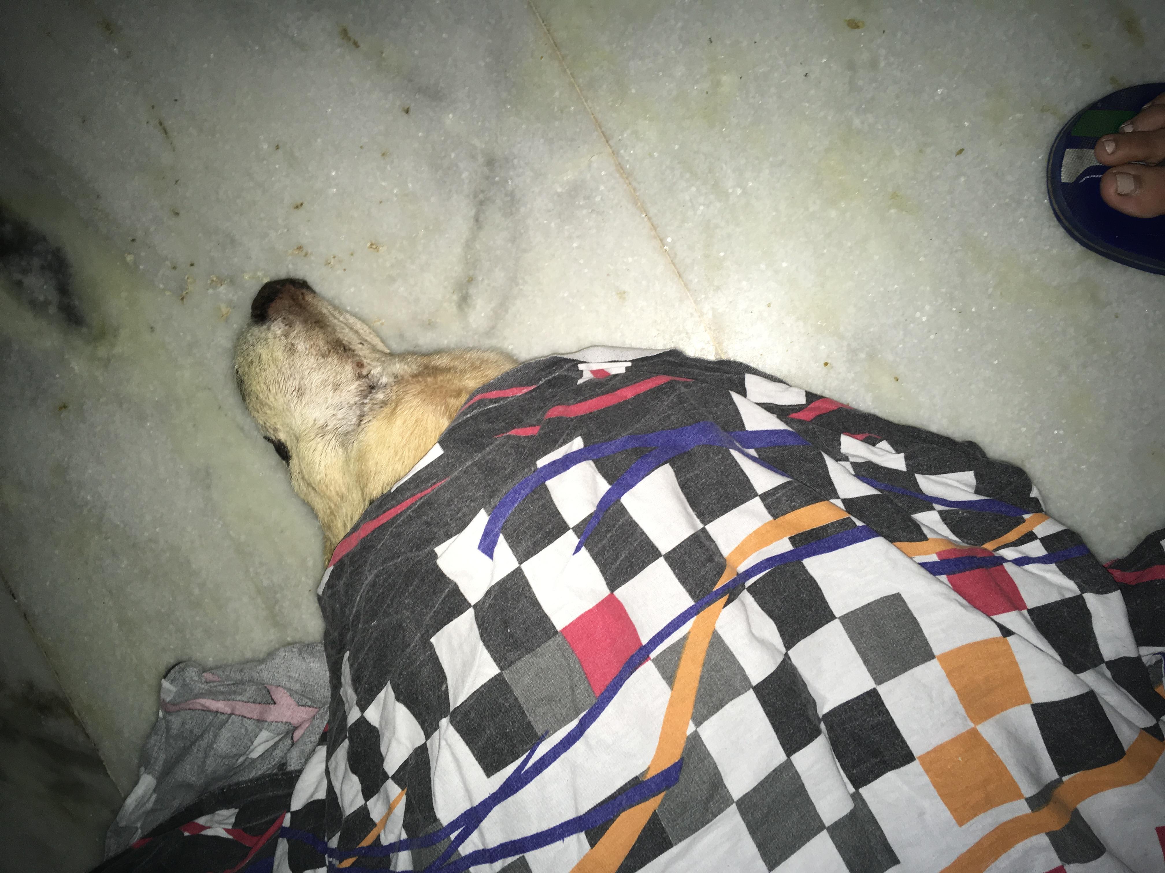 Question details sensitive content