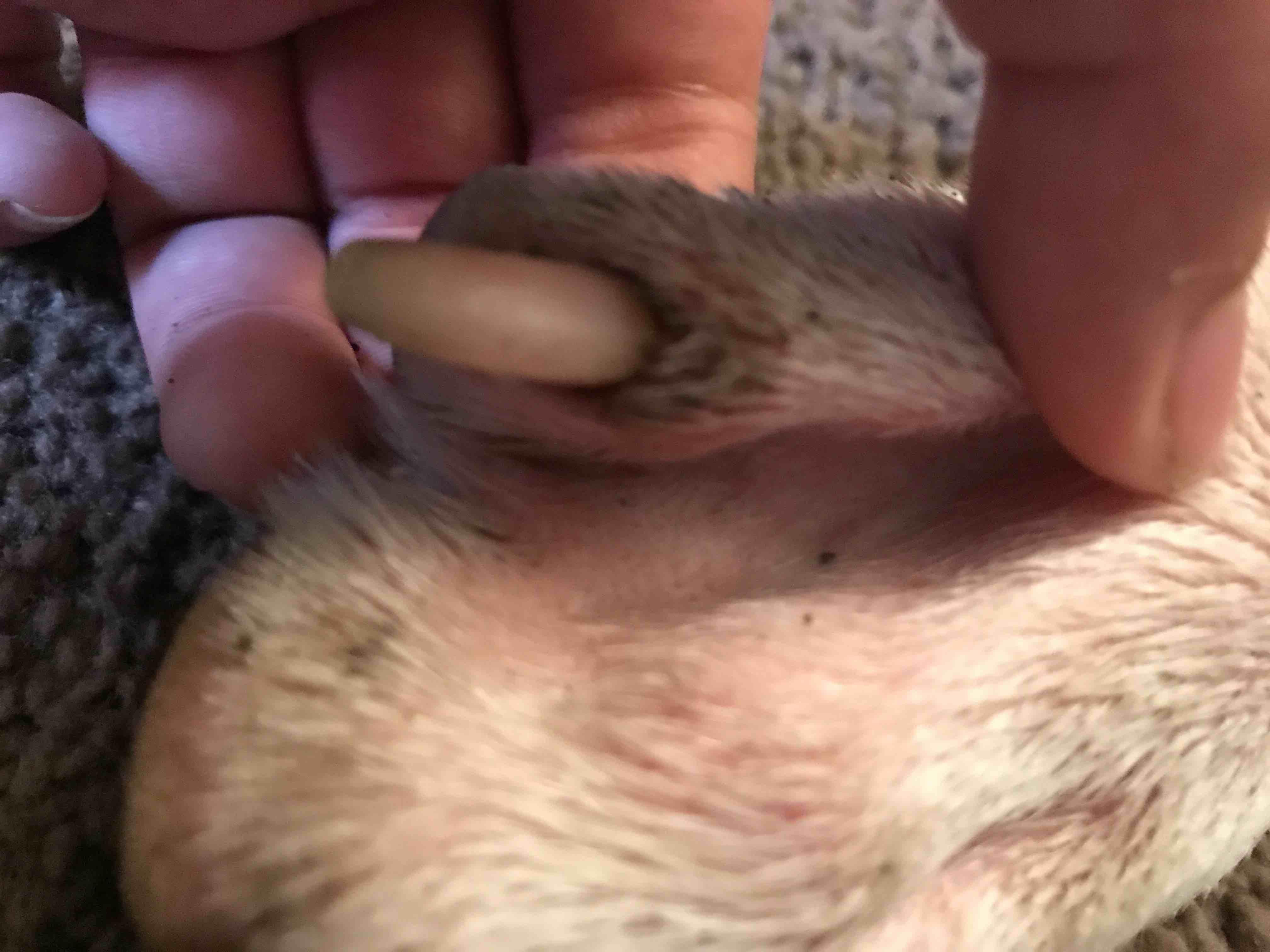 Question details sensitive content