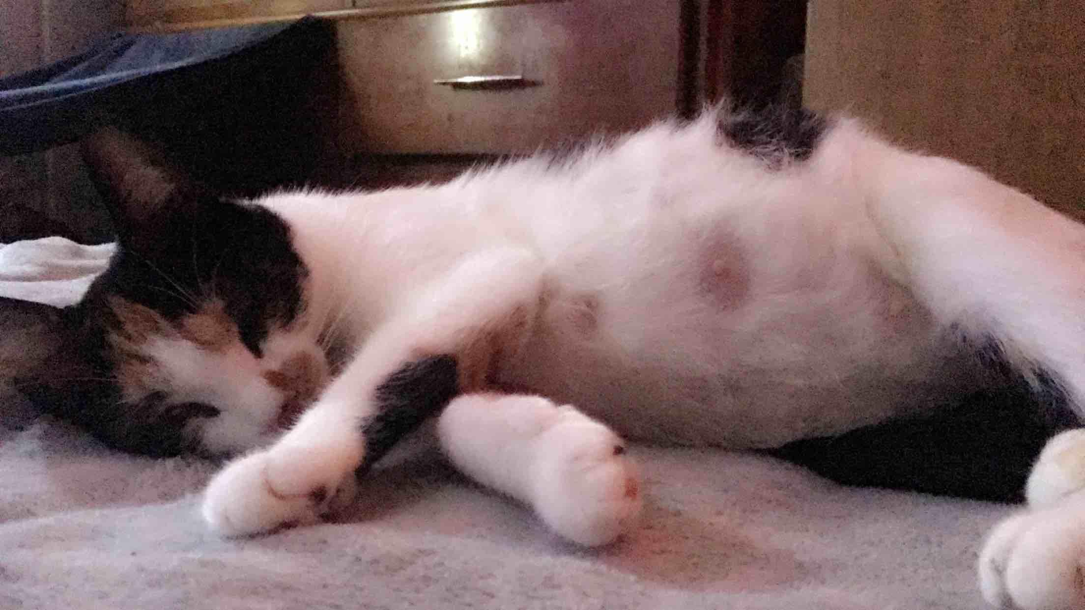 Question details sensitive content