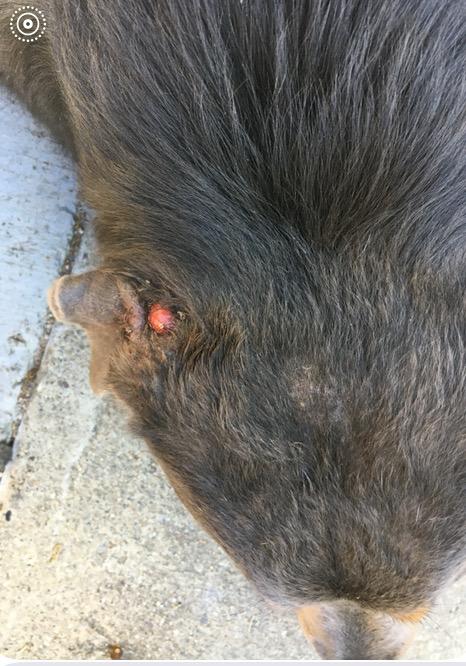 Question details sensitive content