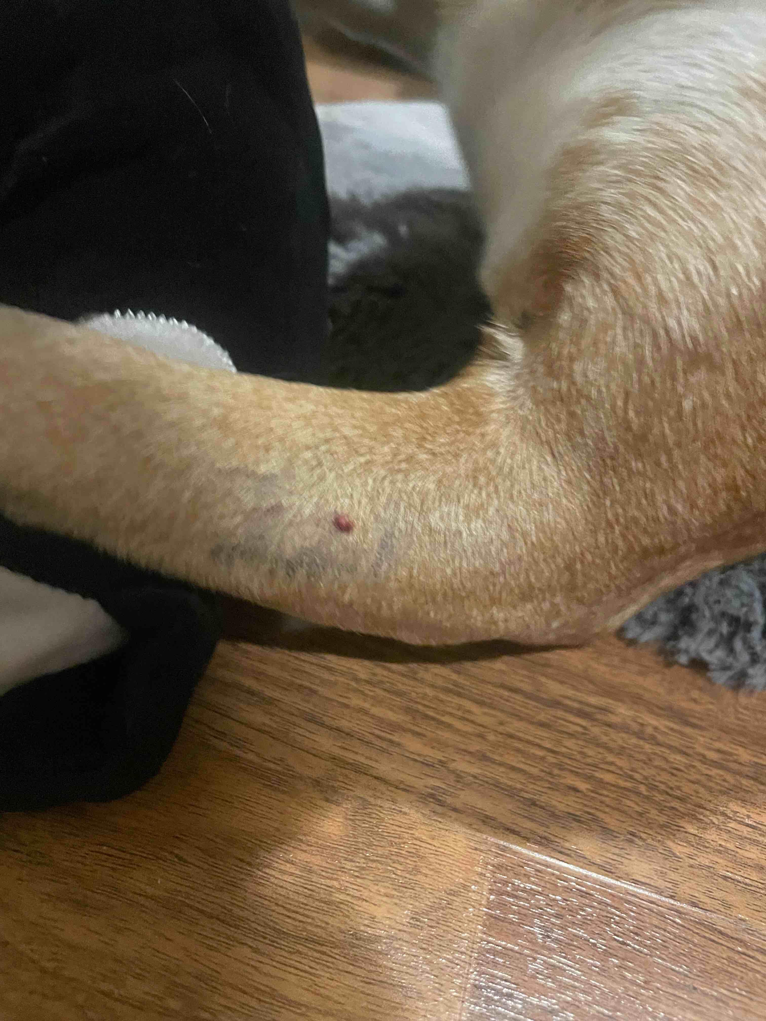 Question details sensitive content