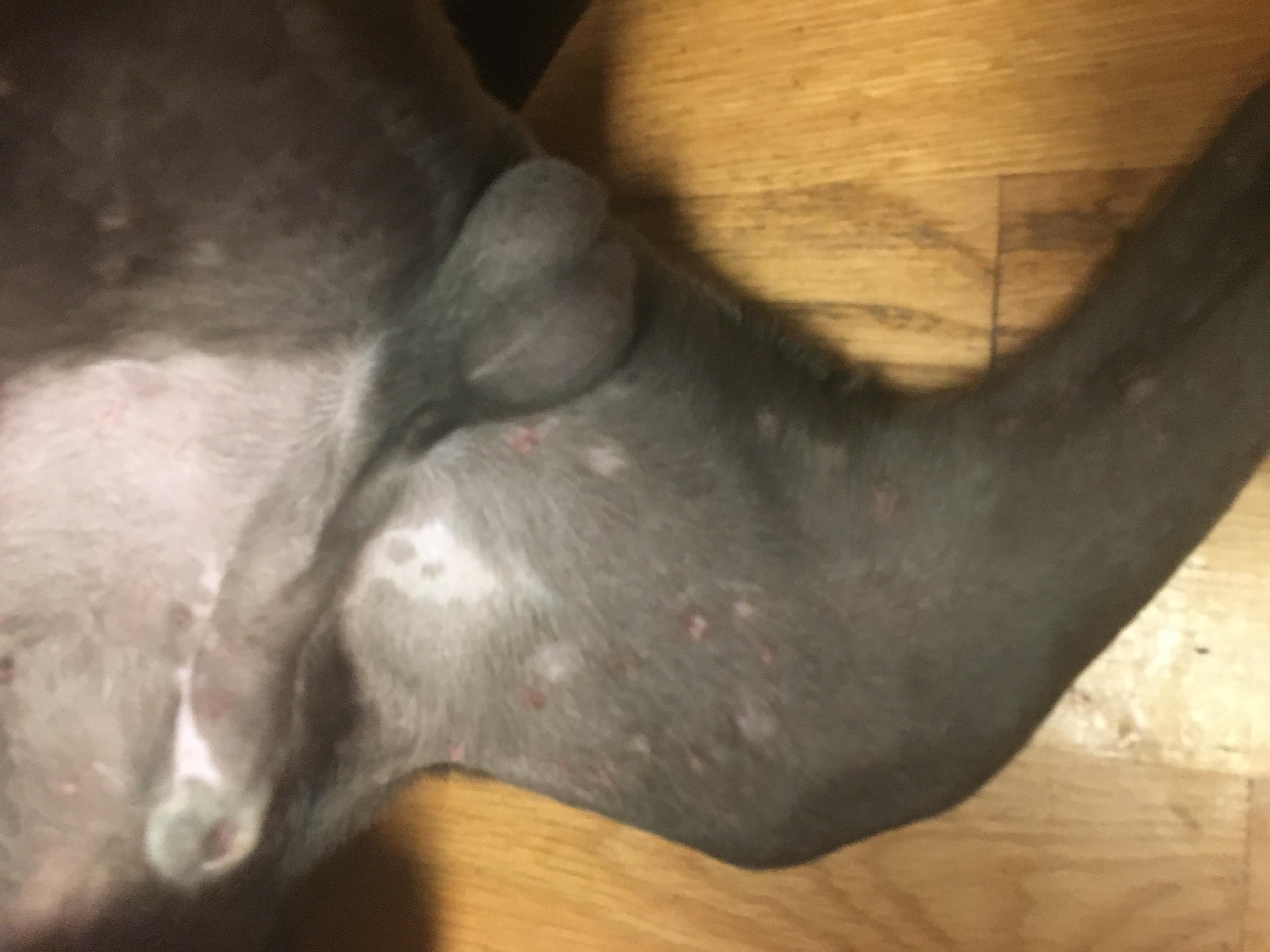 Question details sensitive content