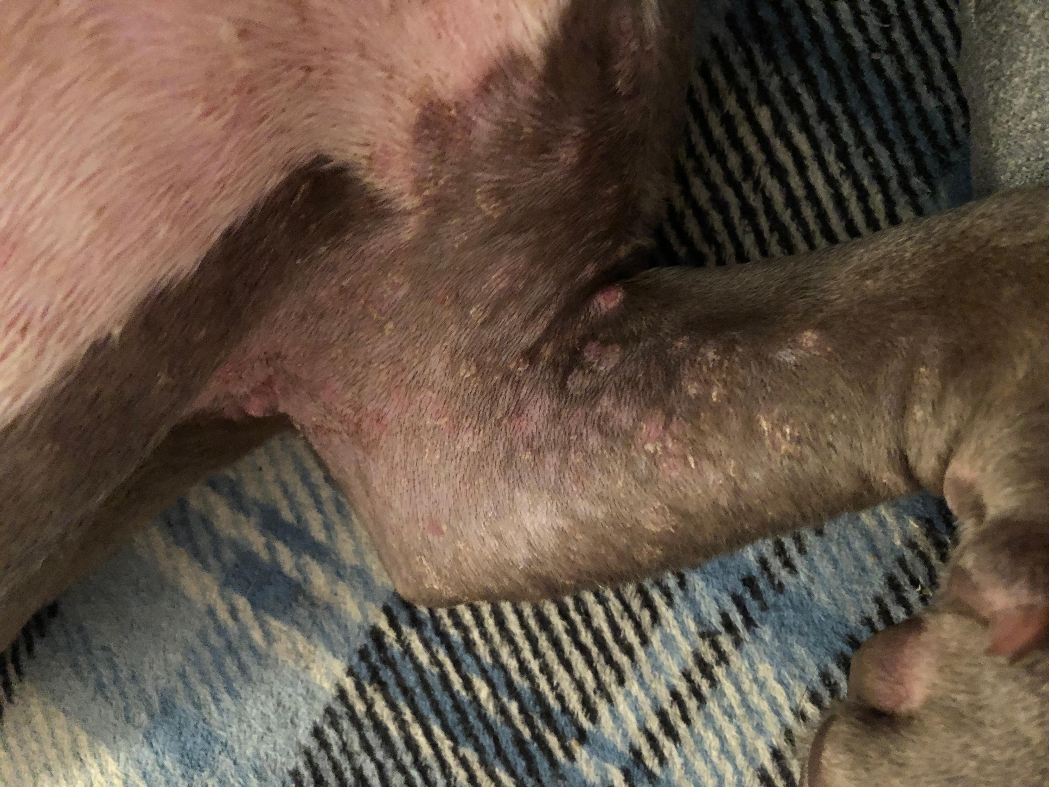 Question details sensitive content