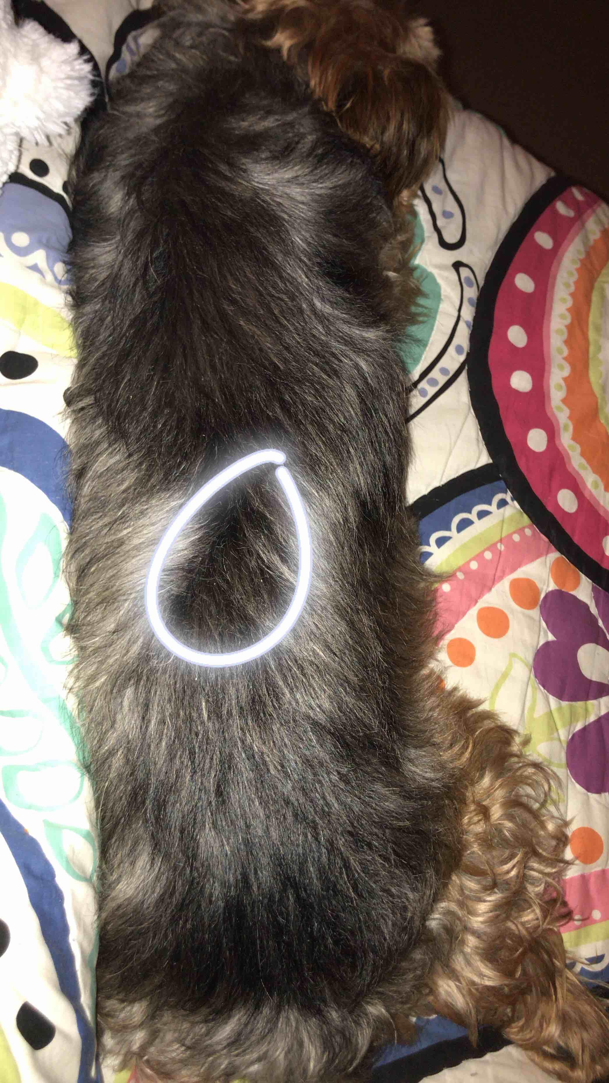 Question details sensitive content