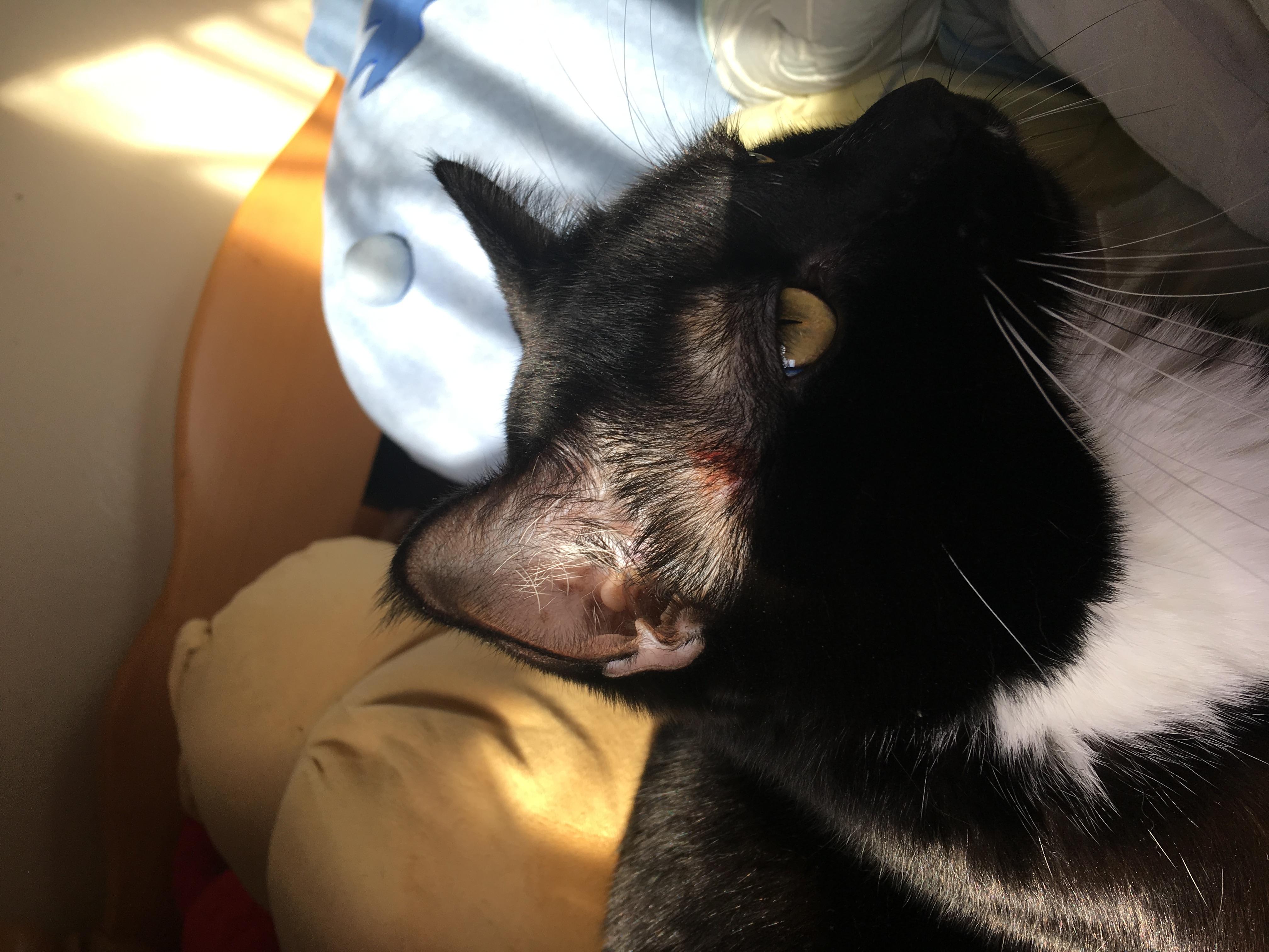 Question details sensitive content