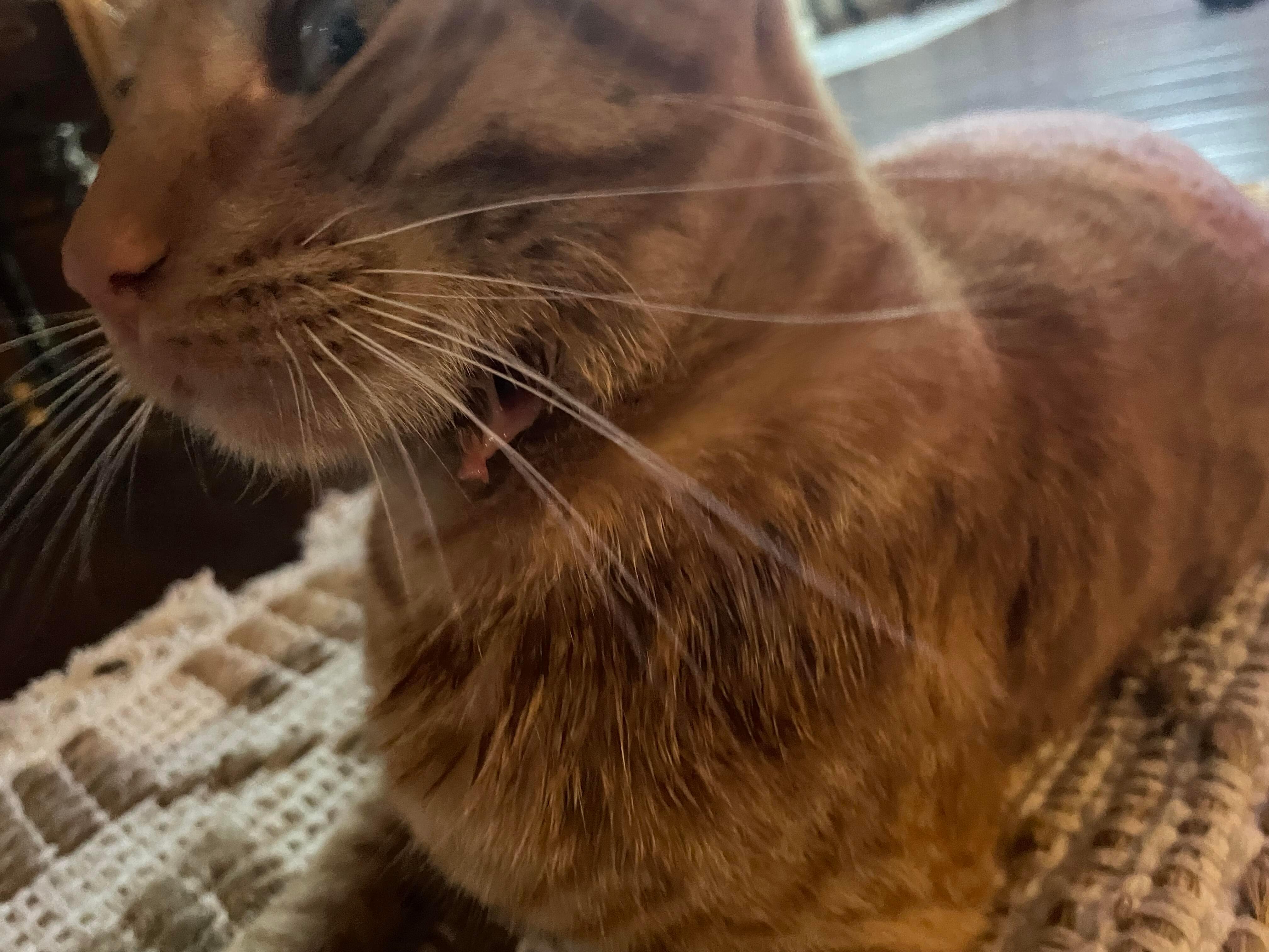 Question details sensitive content