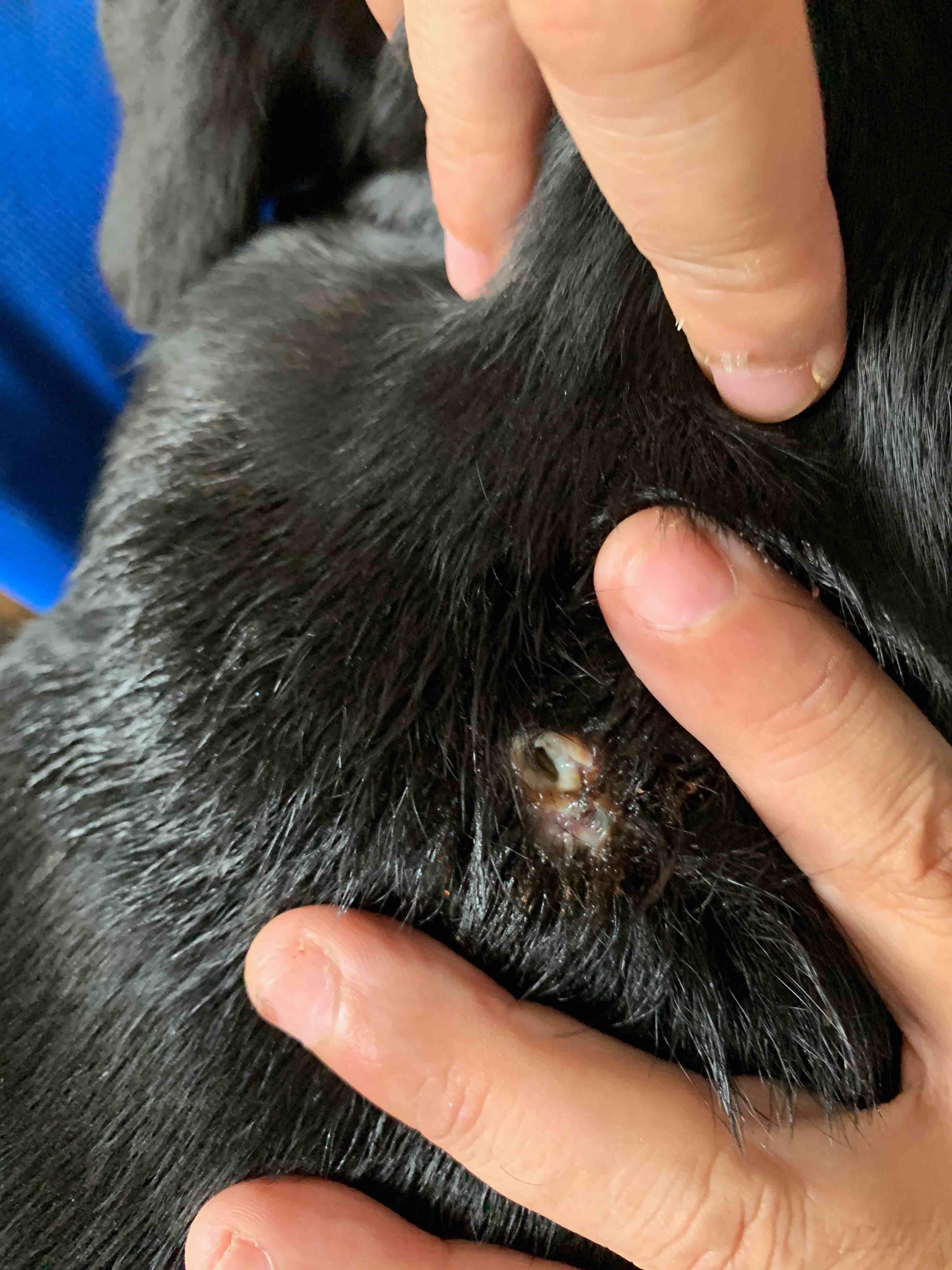 Question details sensitive content