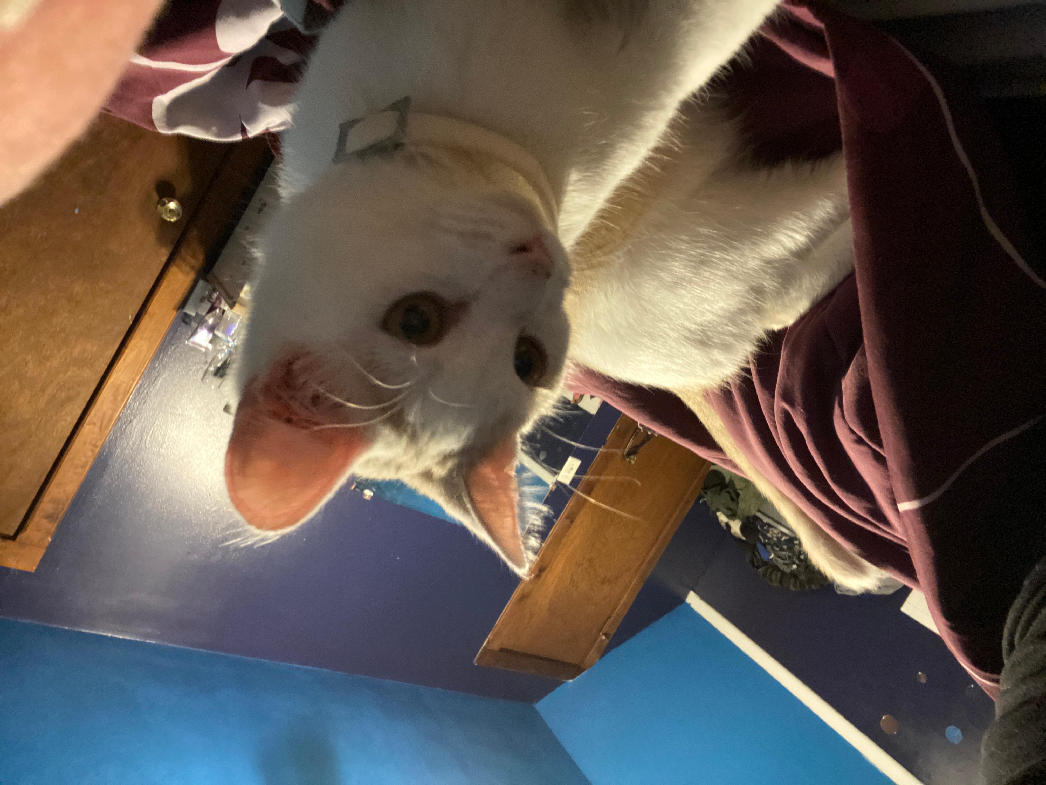 Question details sensitive content