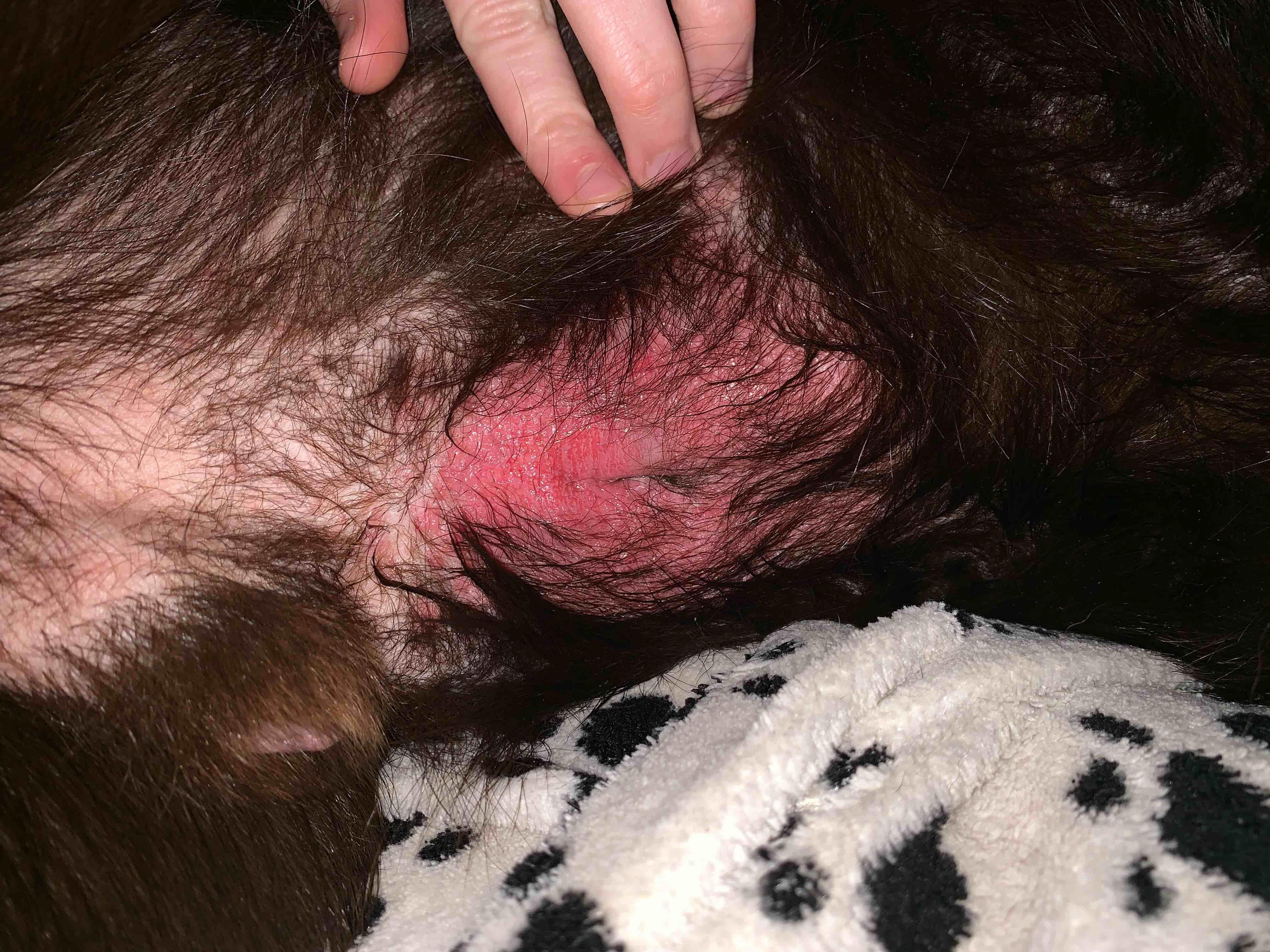 Question details sensitive content