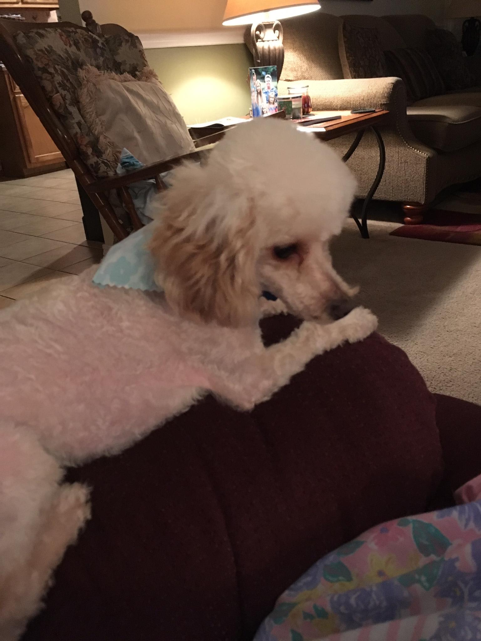 Question details sensitive content