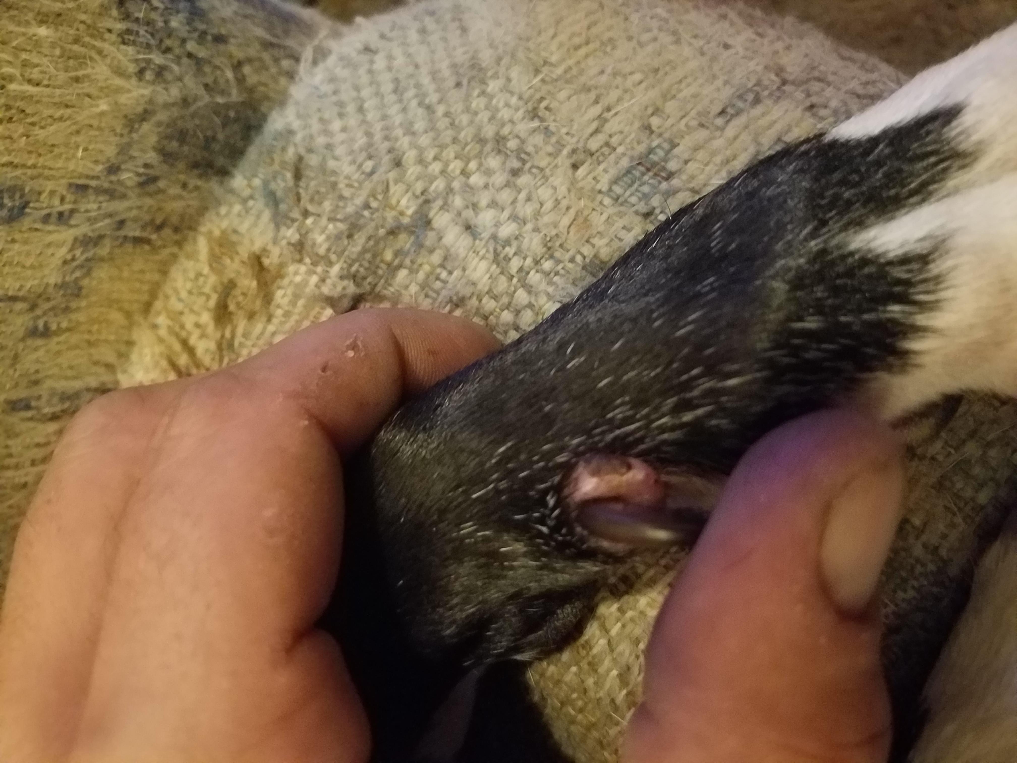 Question details sensitive content