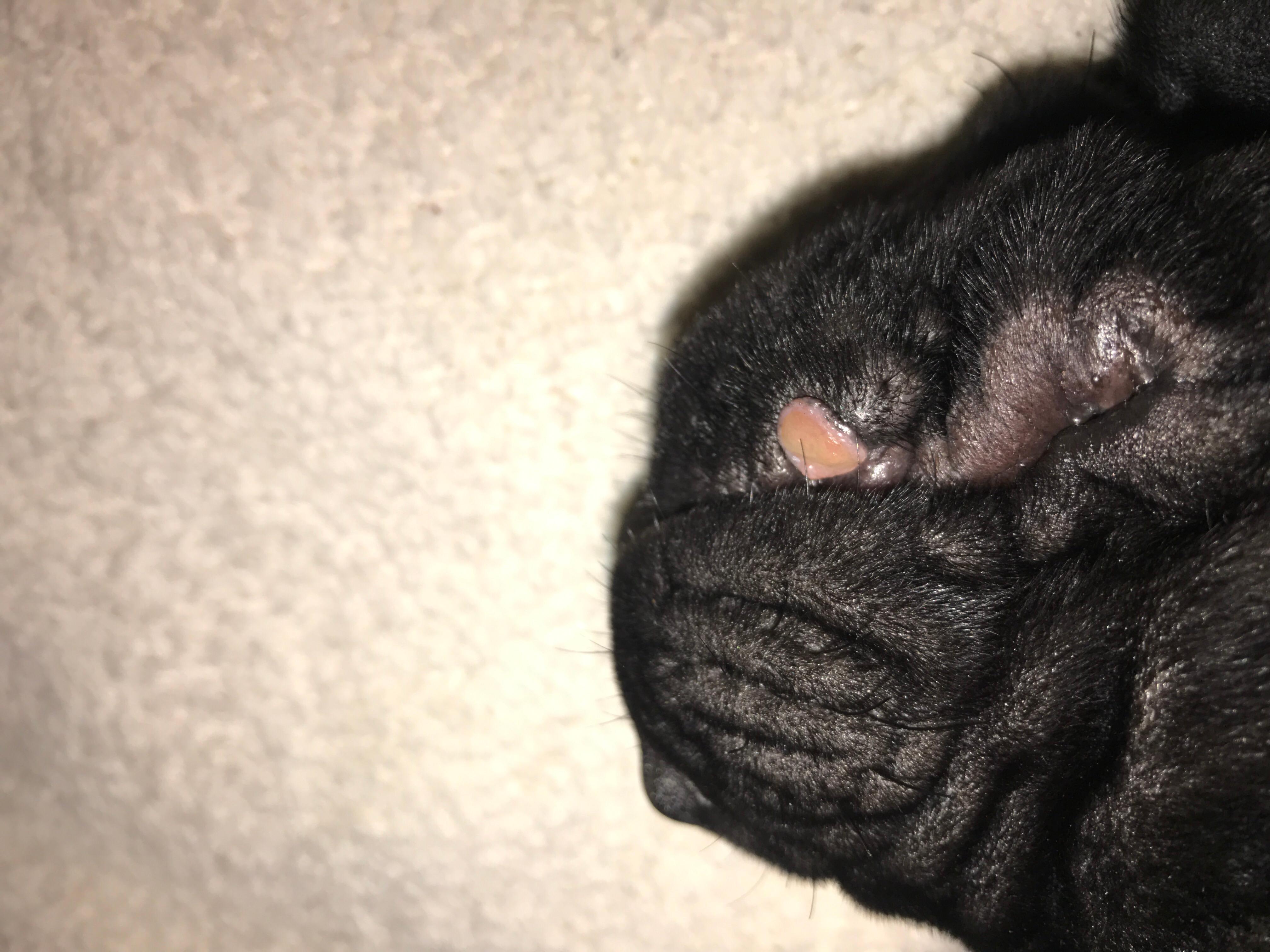 Question details sensitive content