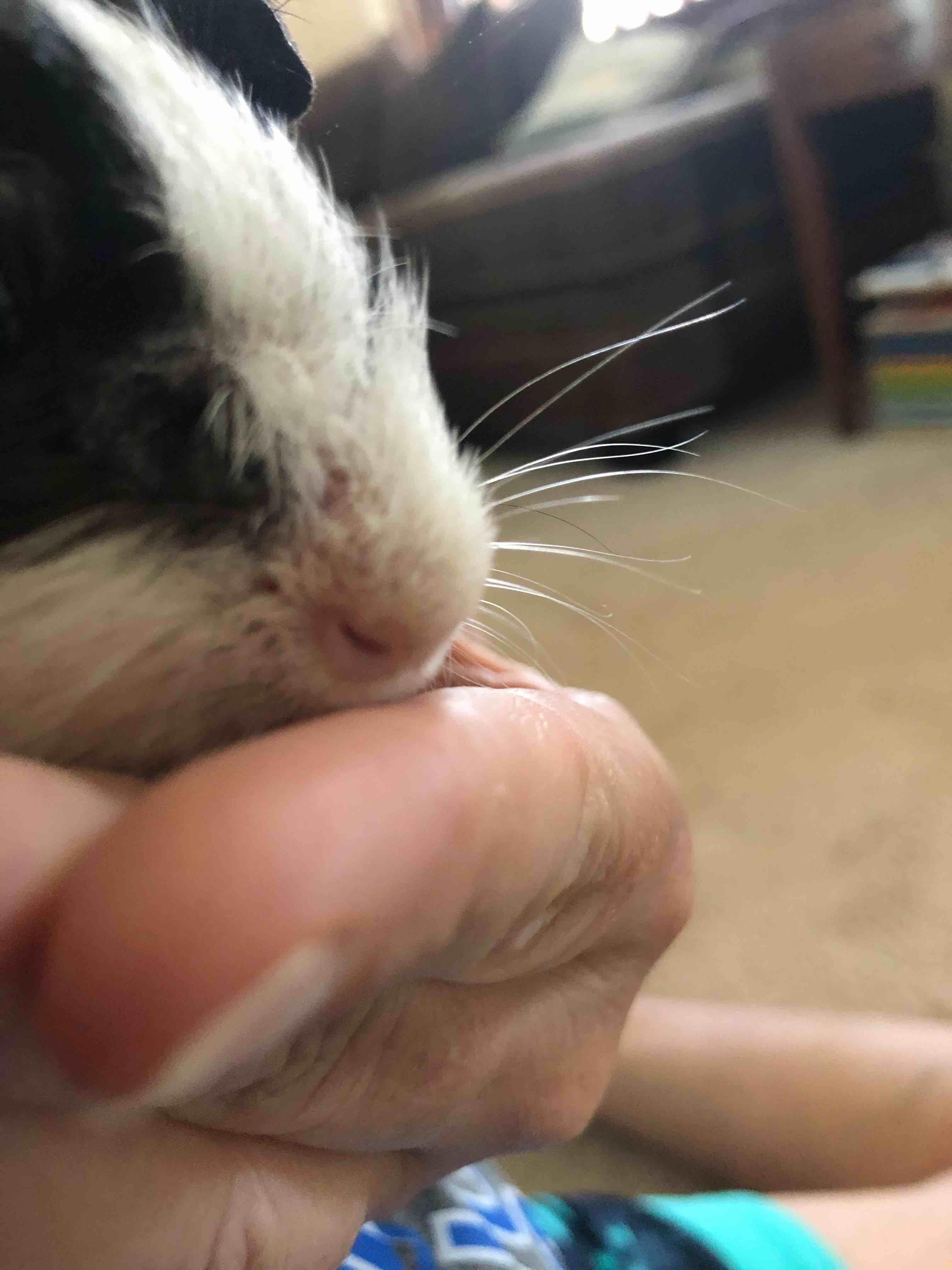 Question details sensitive content