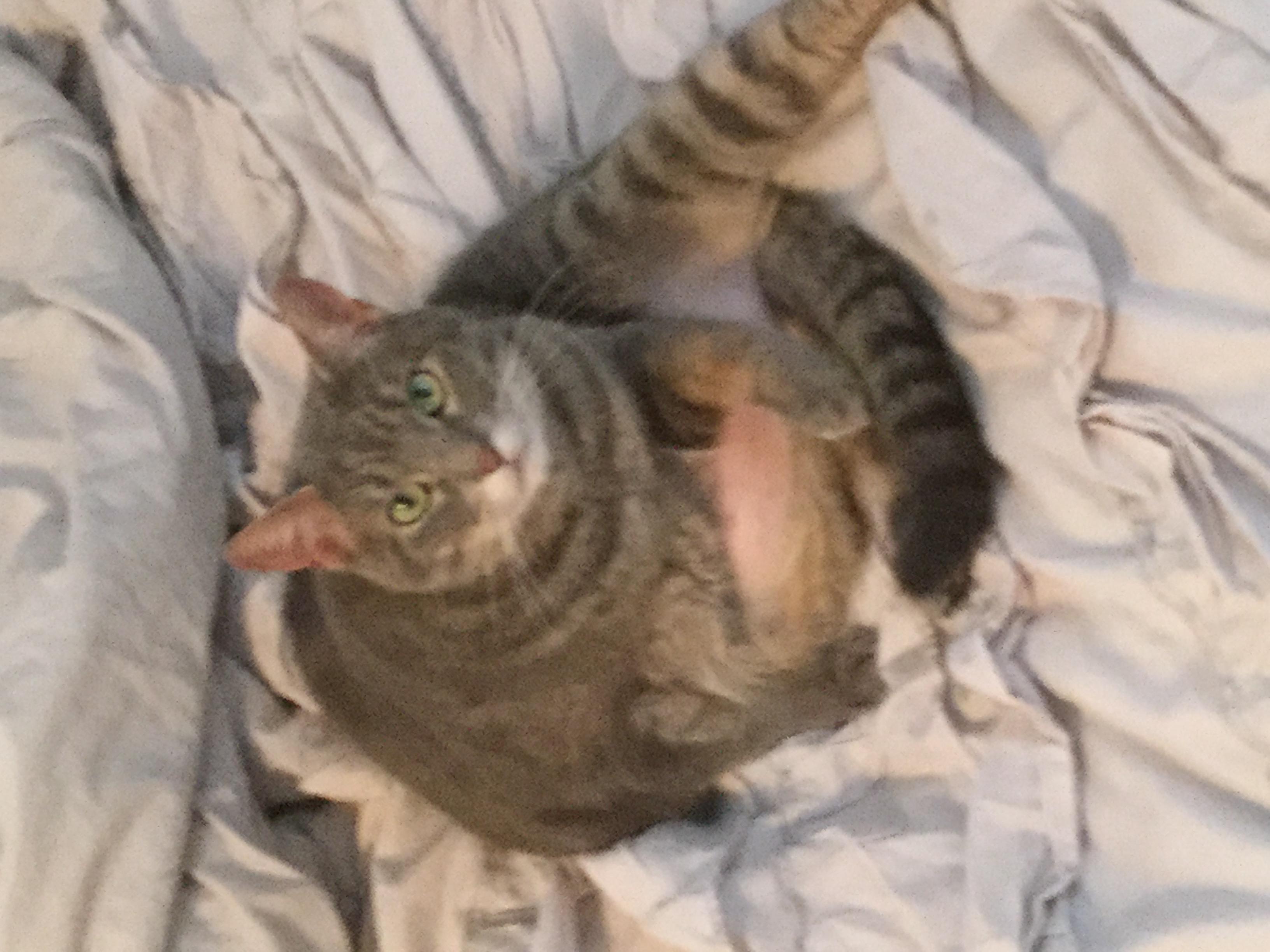 Question details sensitive content