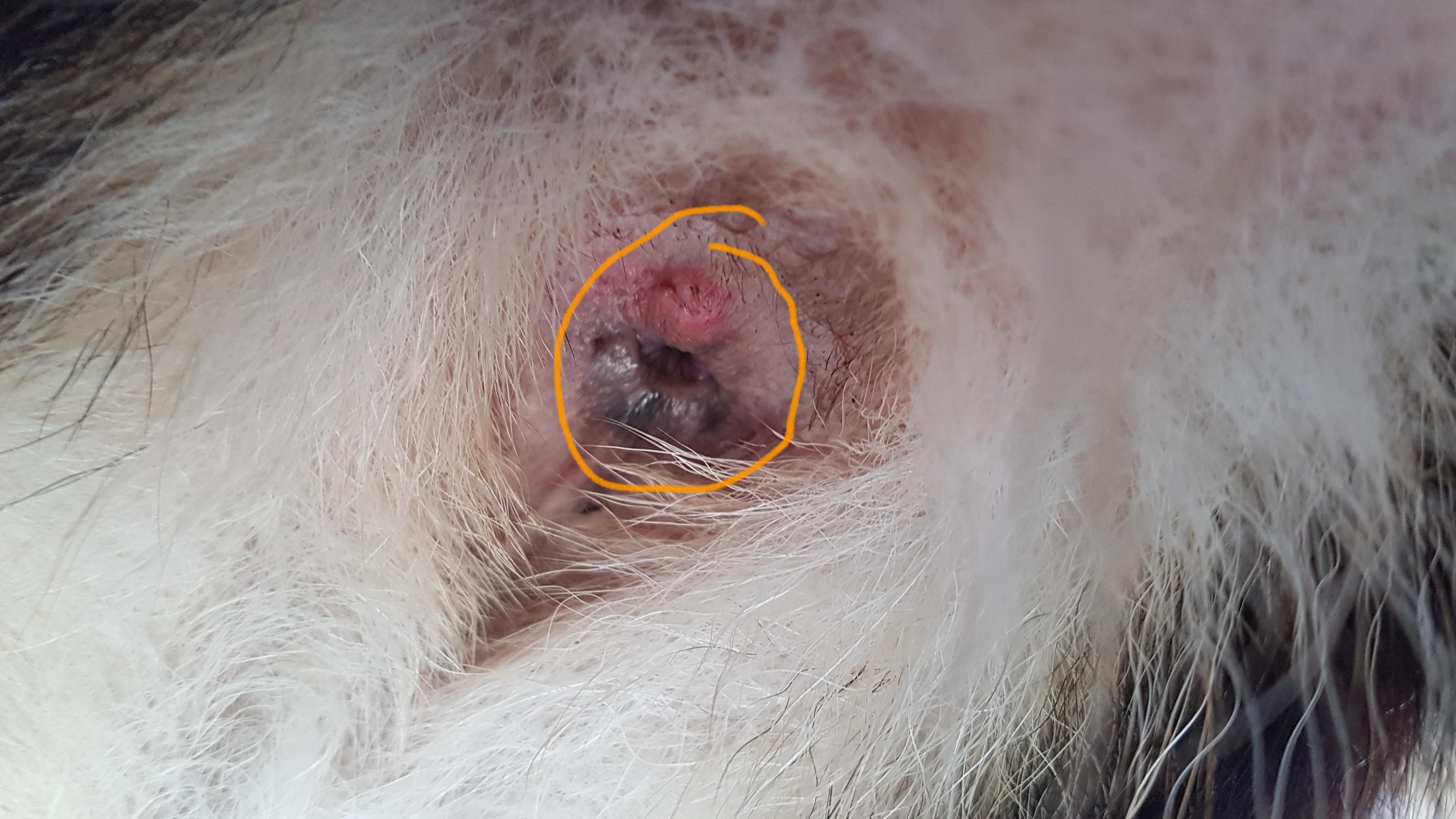 Question details sensitive content