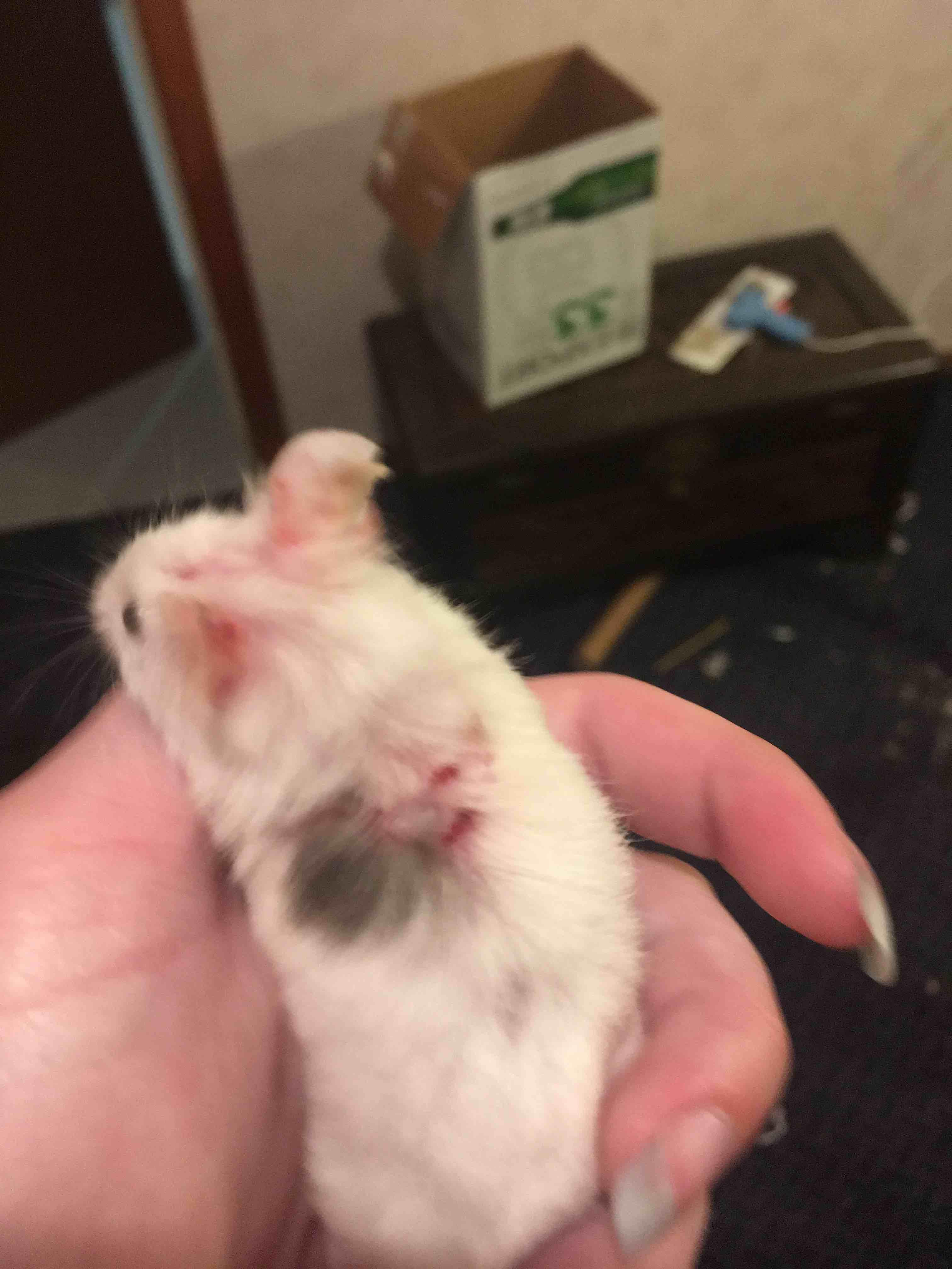 Question details sensitive content