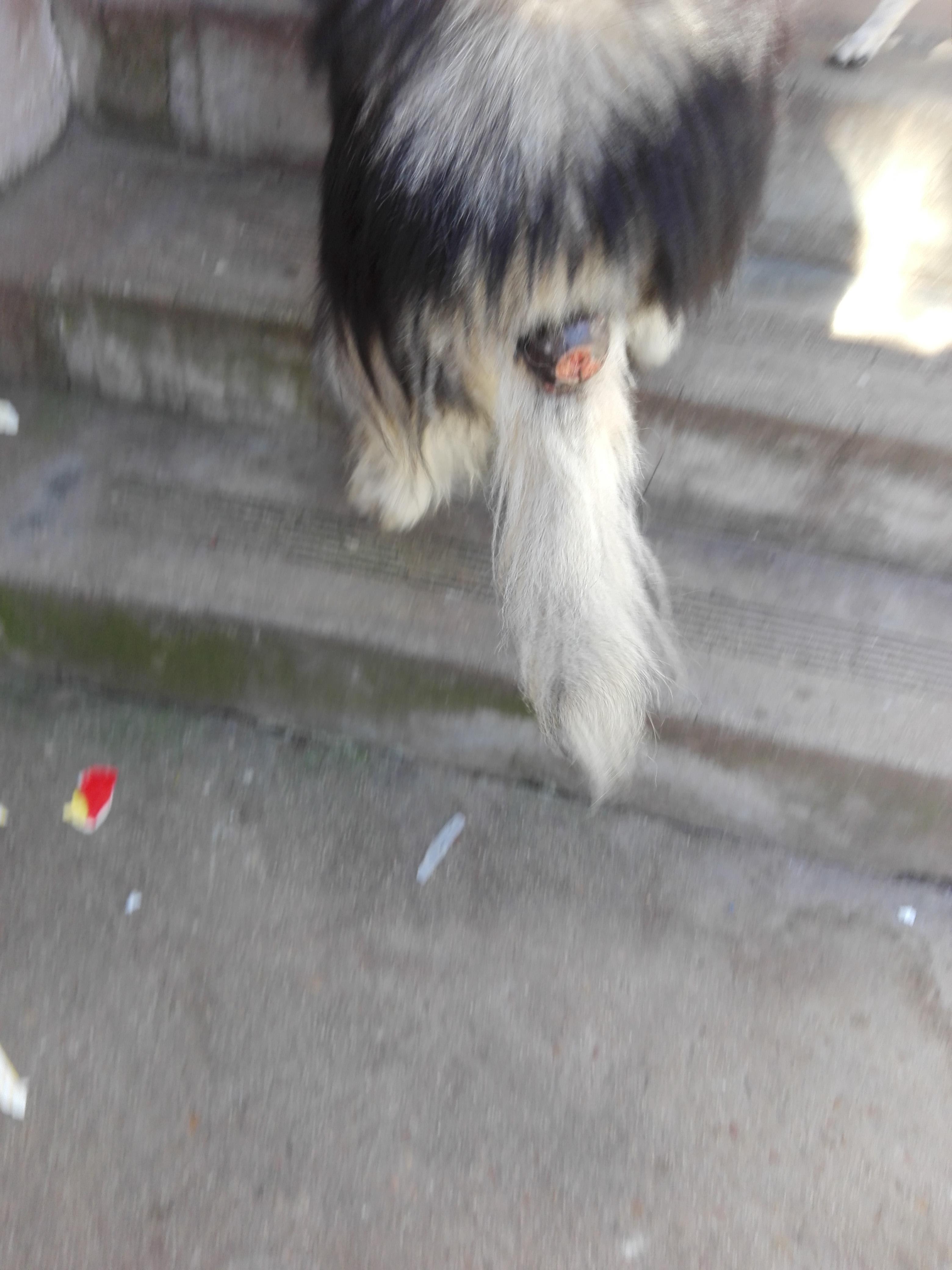 Question details sensitive content