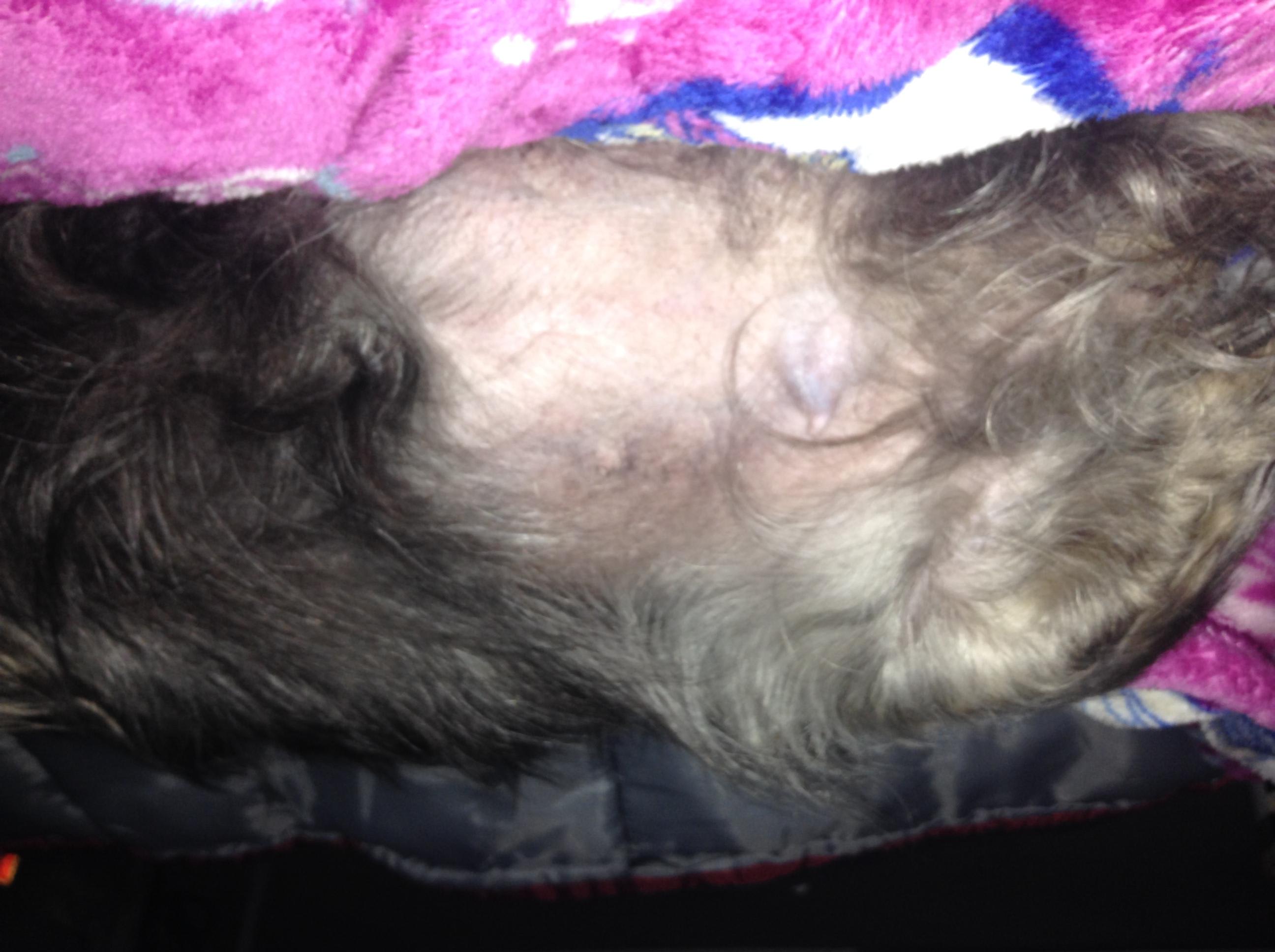 Question details sensitive content