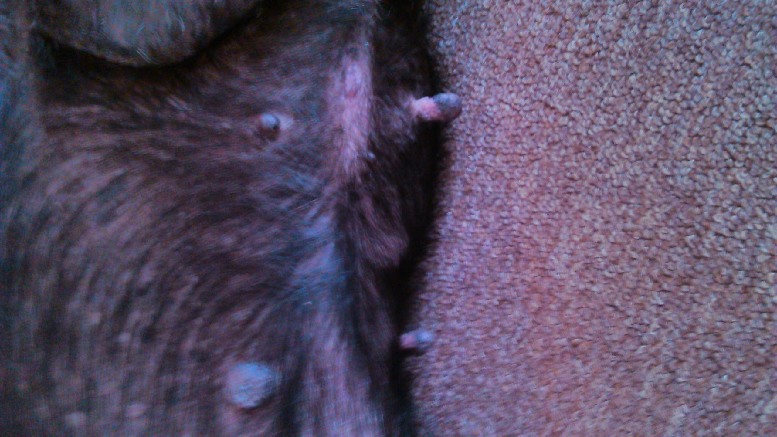 Question details sensitive content