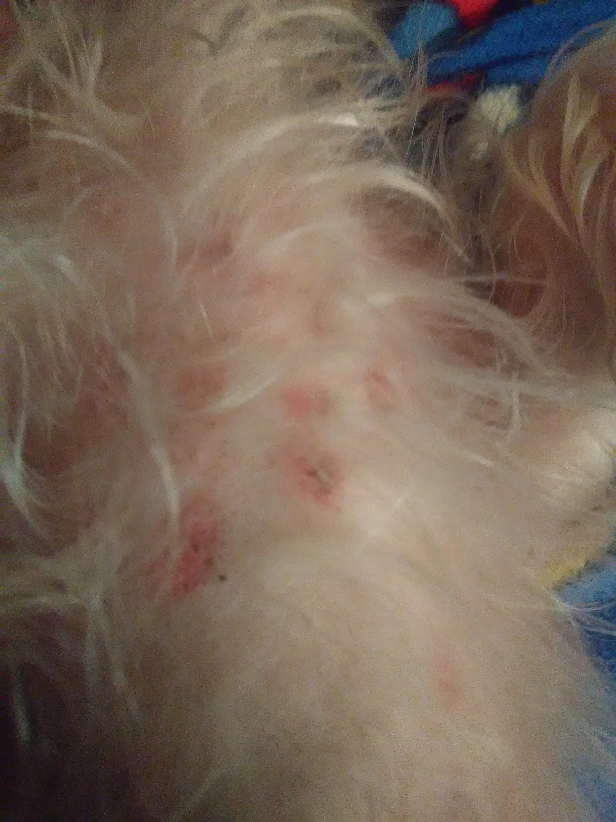 Question details sensitive content