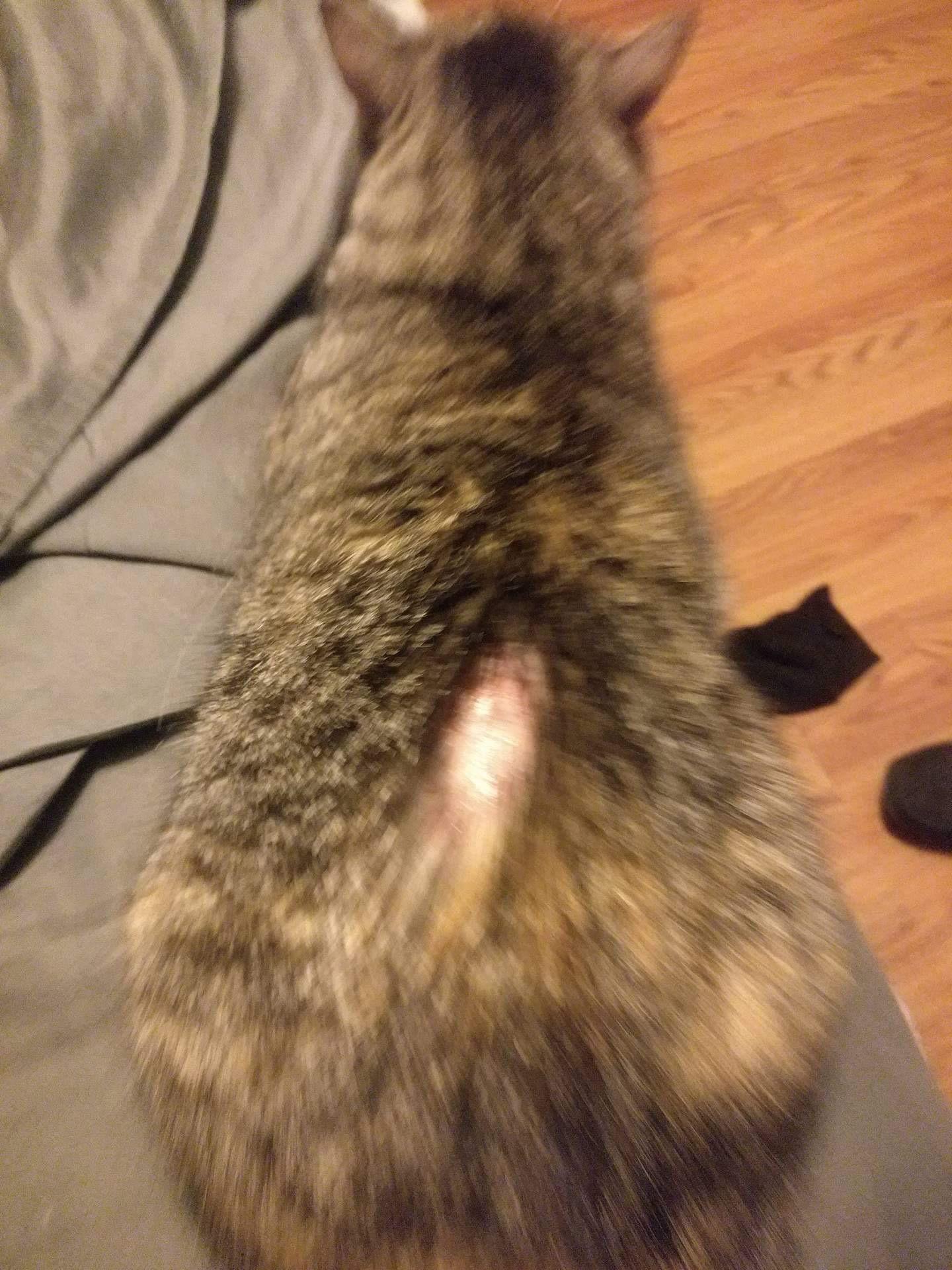 Question details sensitive content