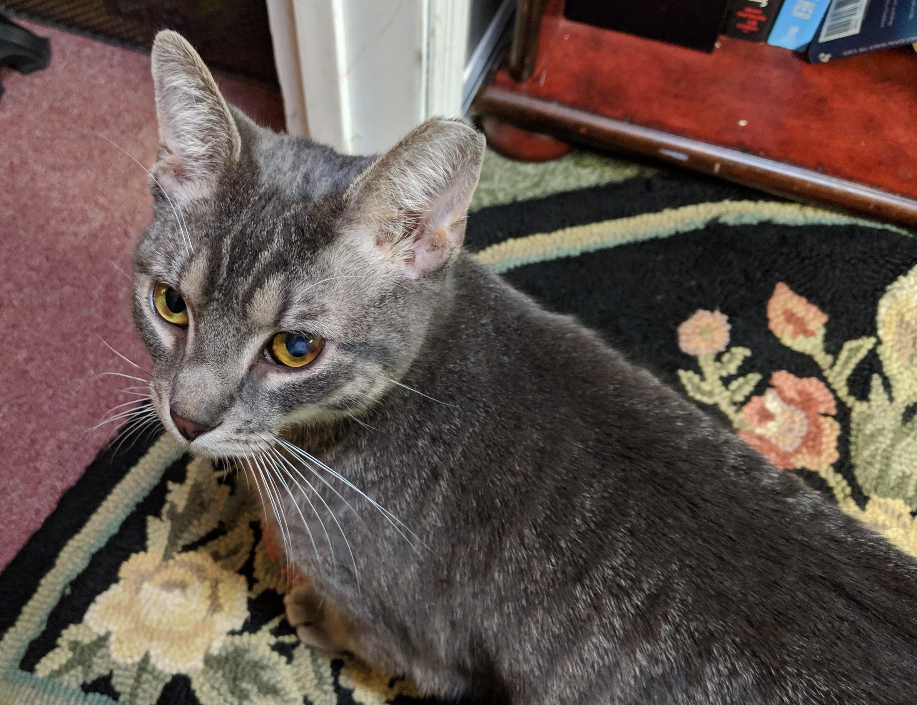 Question details sensitive content