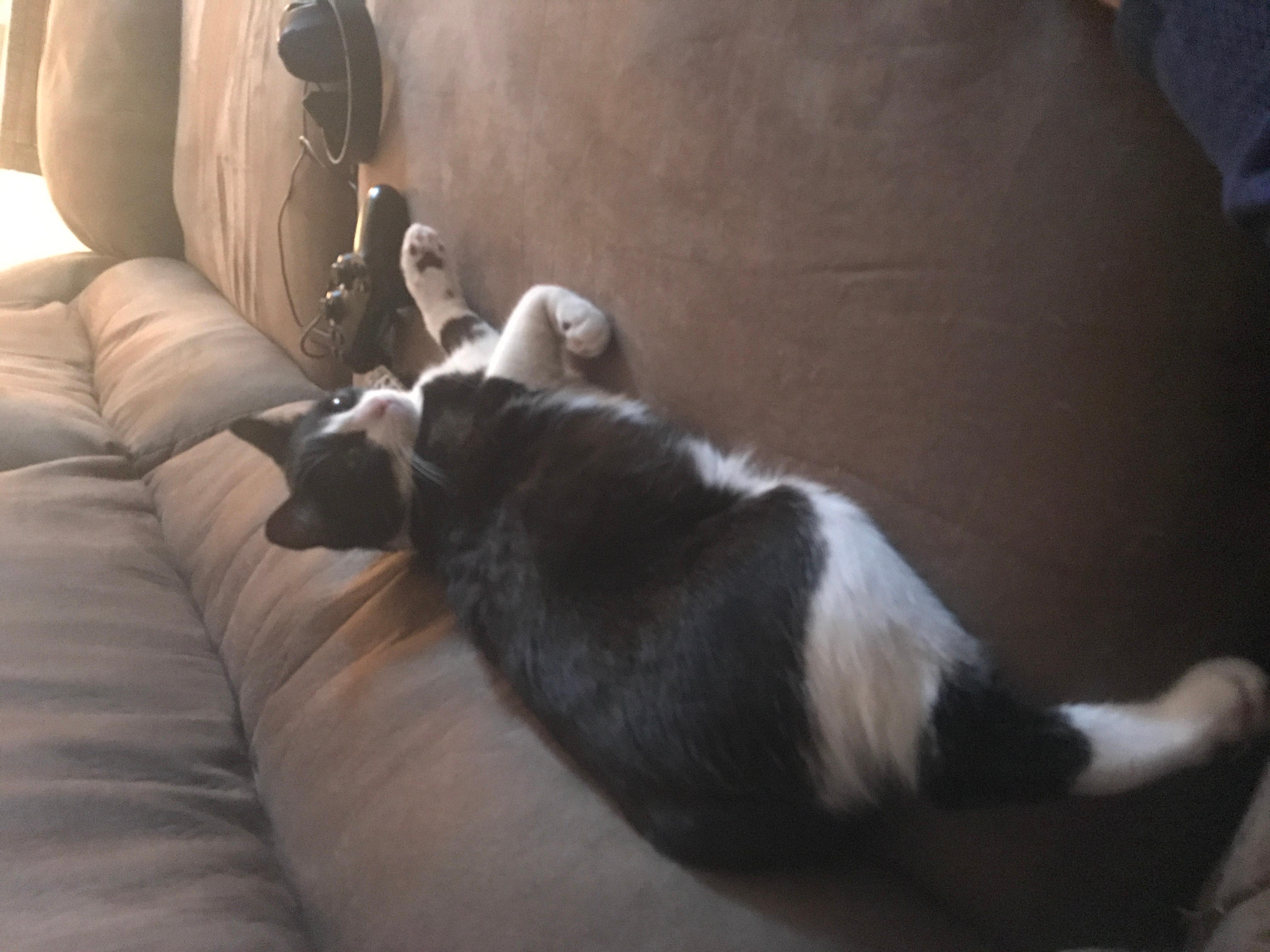 Question details sensitive content