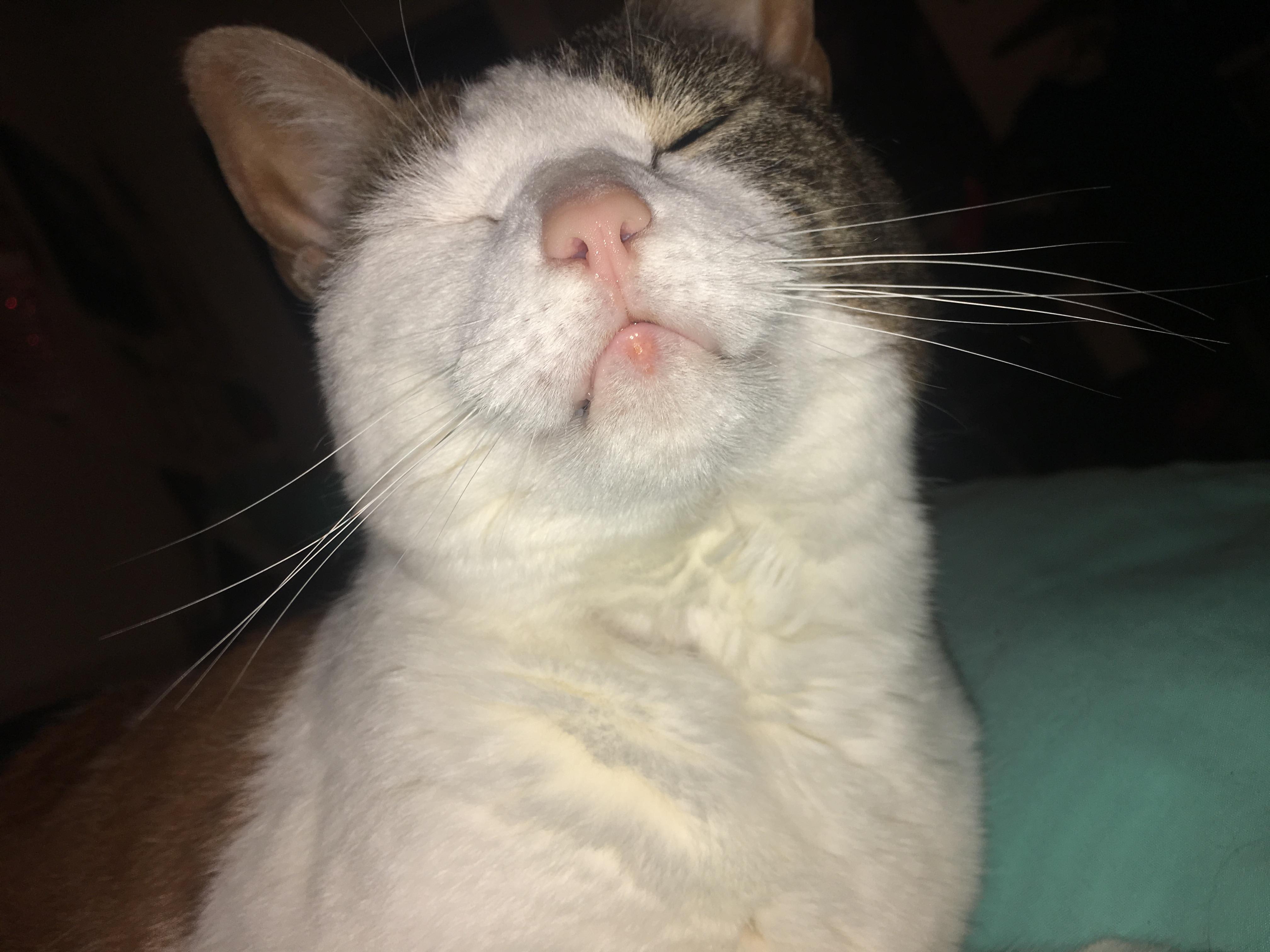 Question details sensitive content