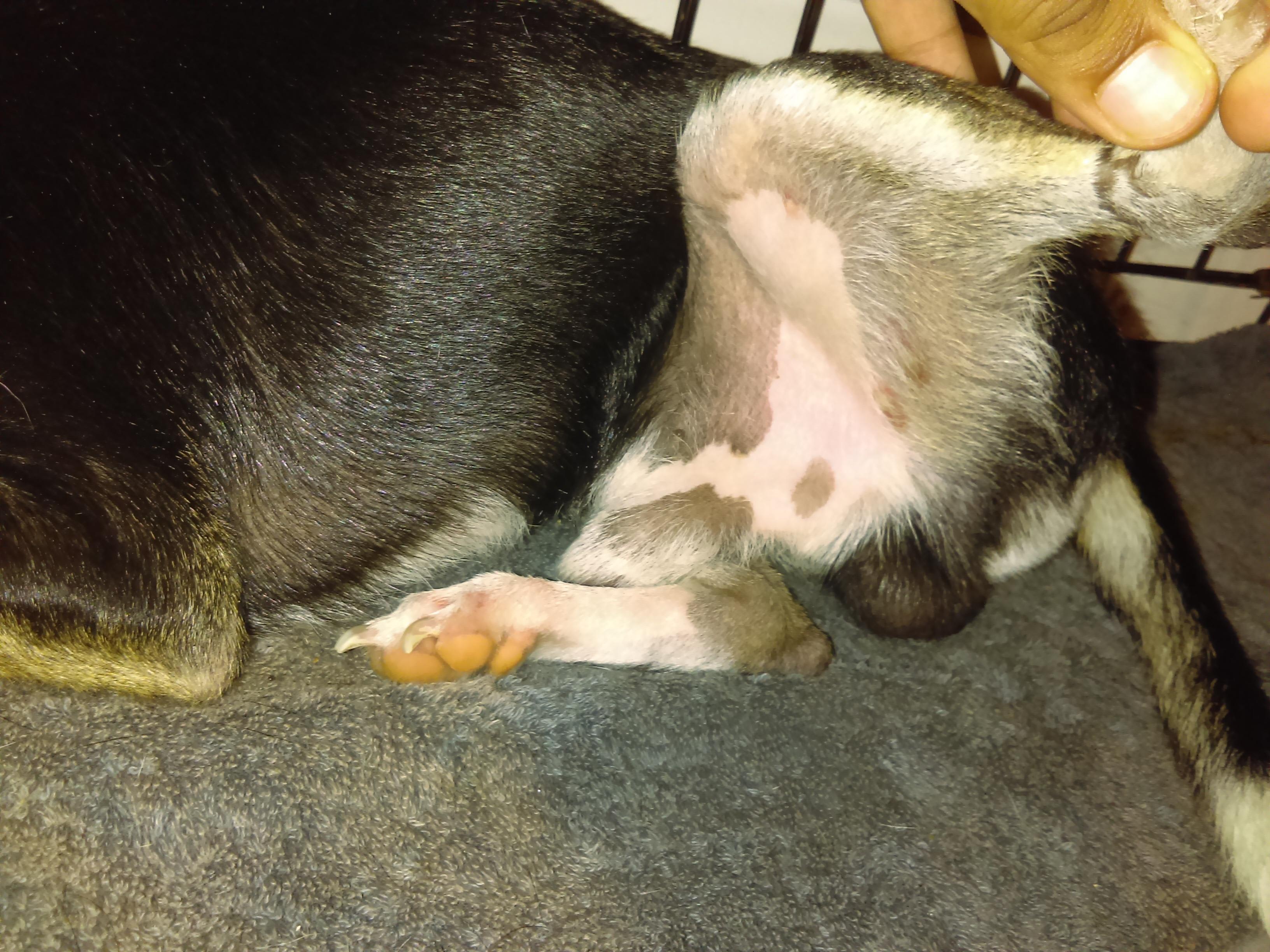 Question details sensitive content