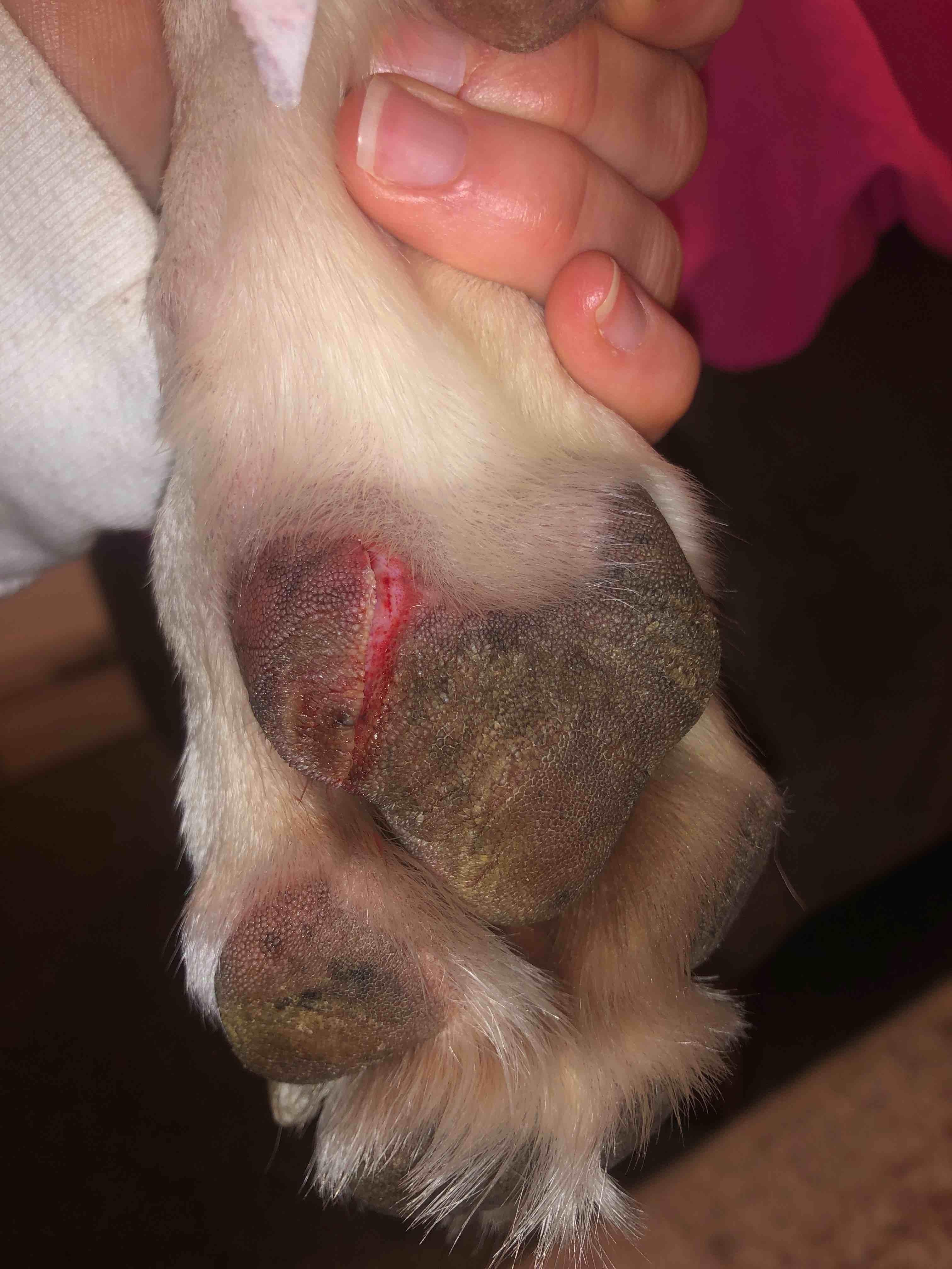 Question details sensitive content