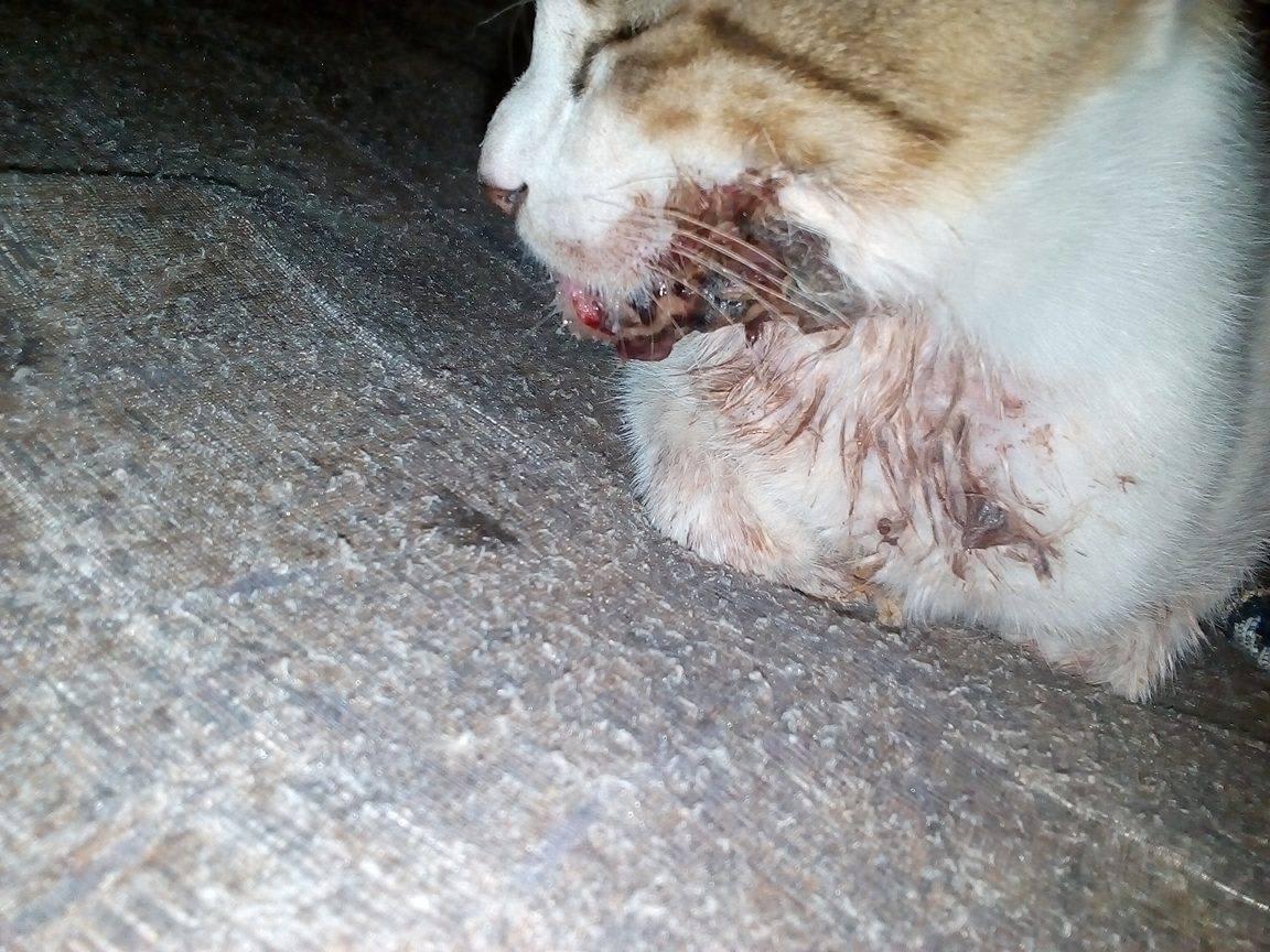 Question details sensitive content