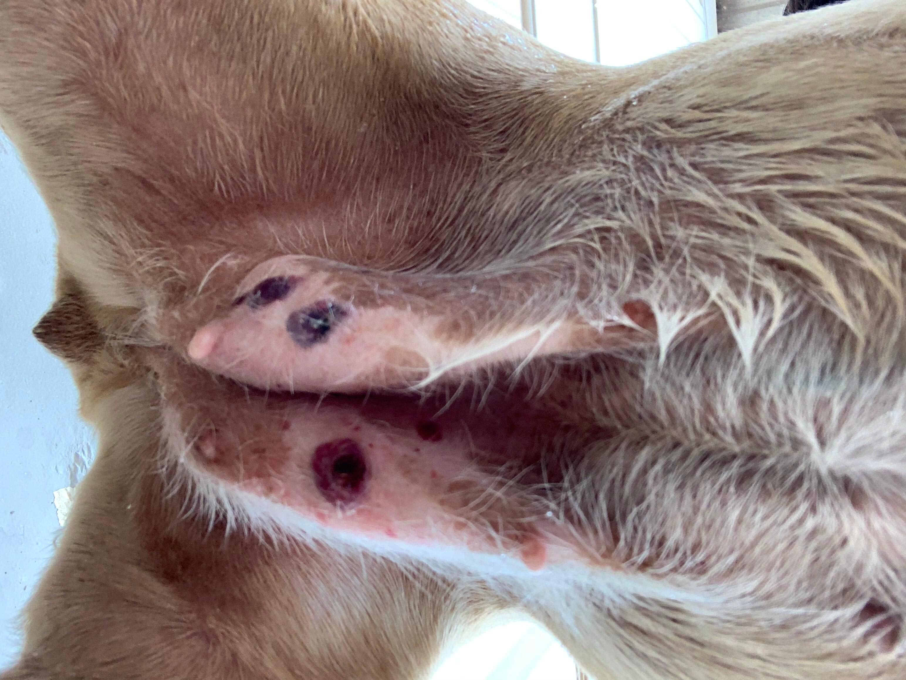 Question details sensitive content