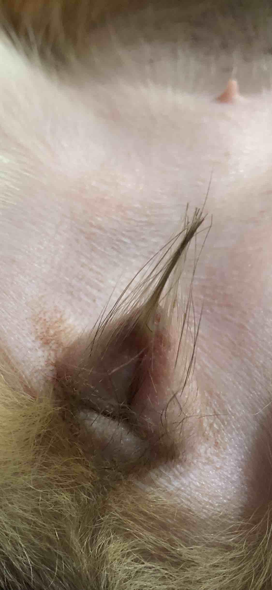 Question details sensitive content