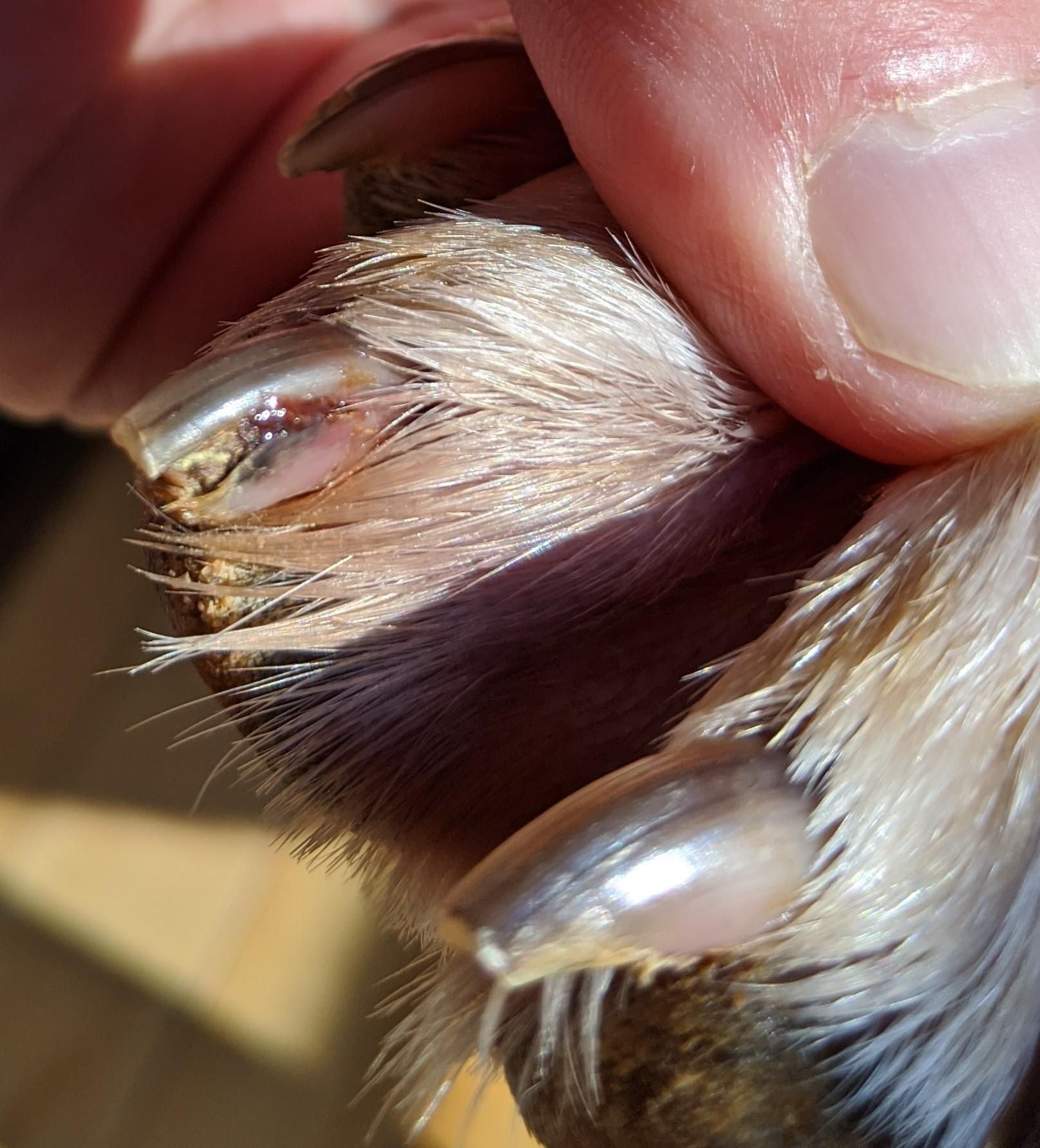 Question details sensitive content