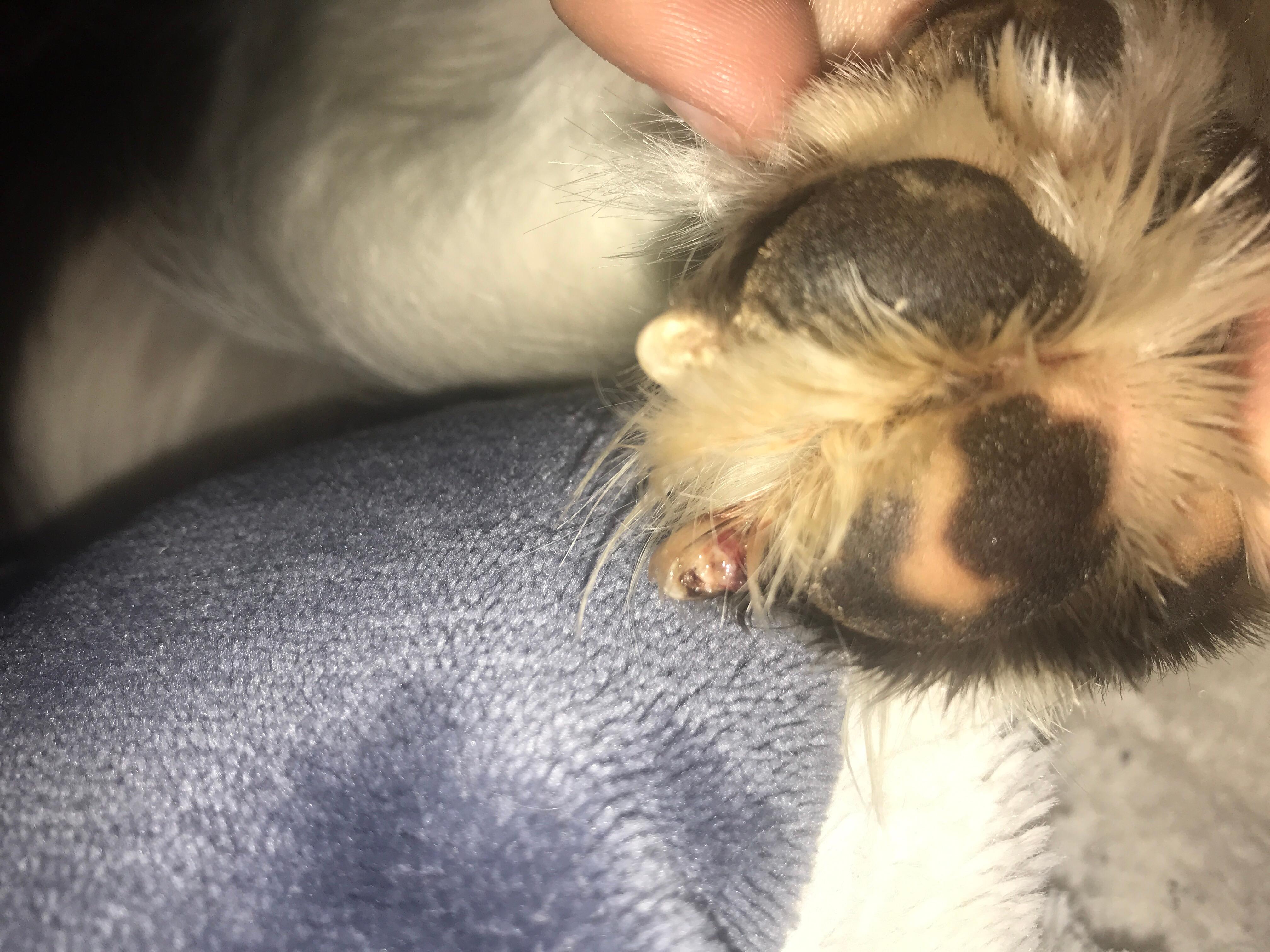 Question details sensitive content