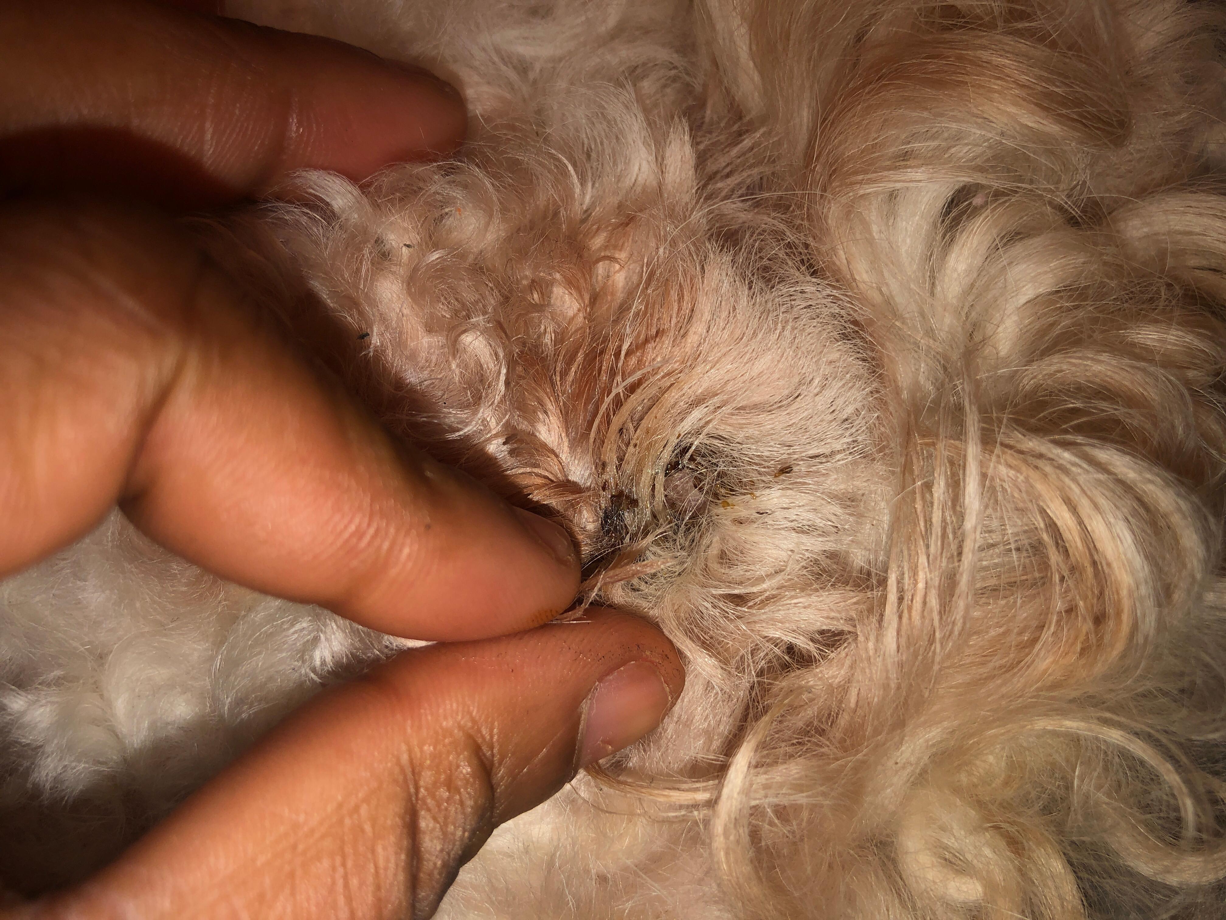 Question details sensitive content