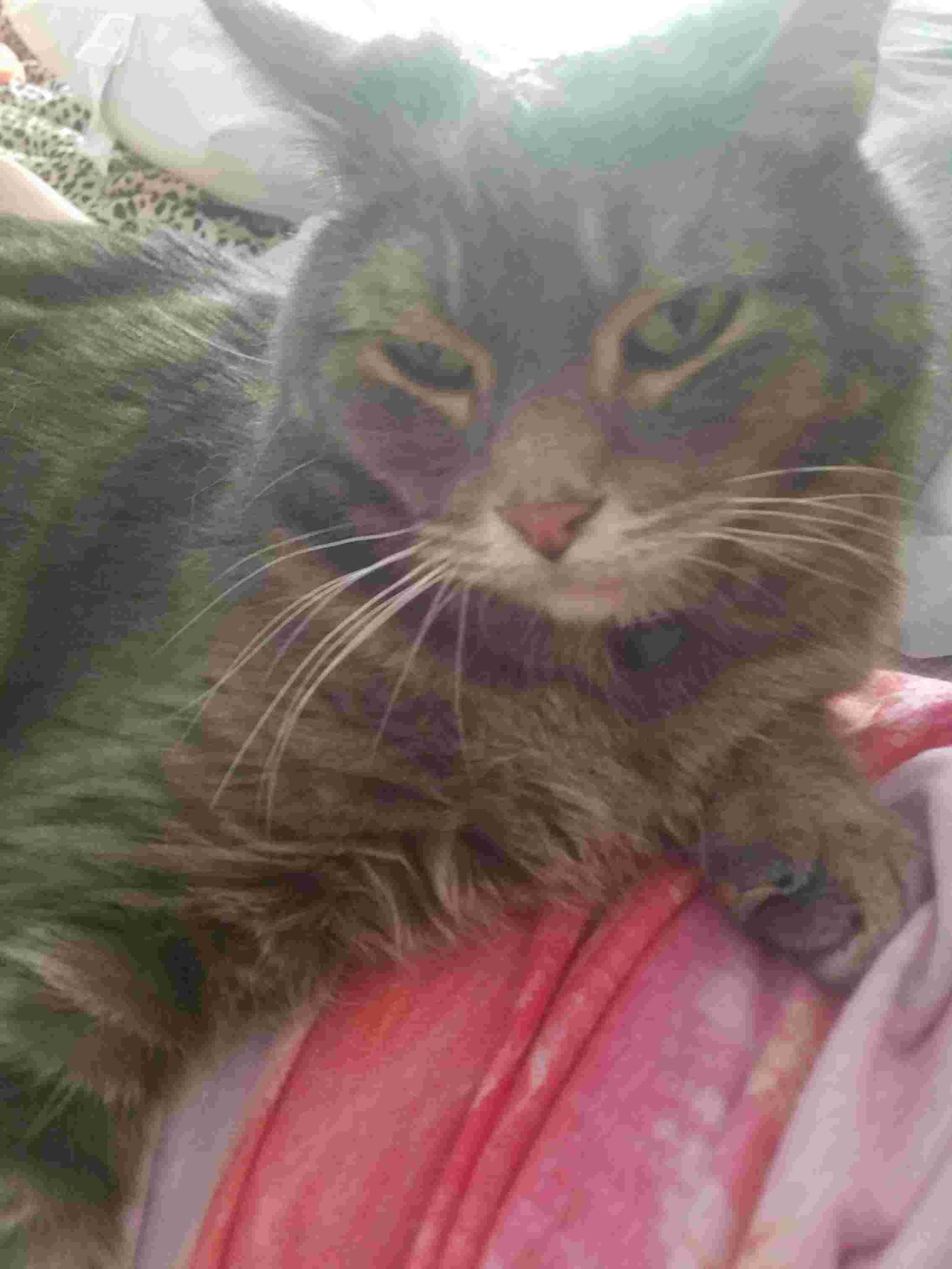 Question details sensitive content