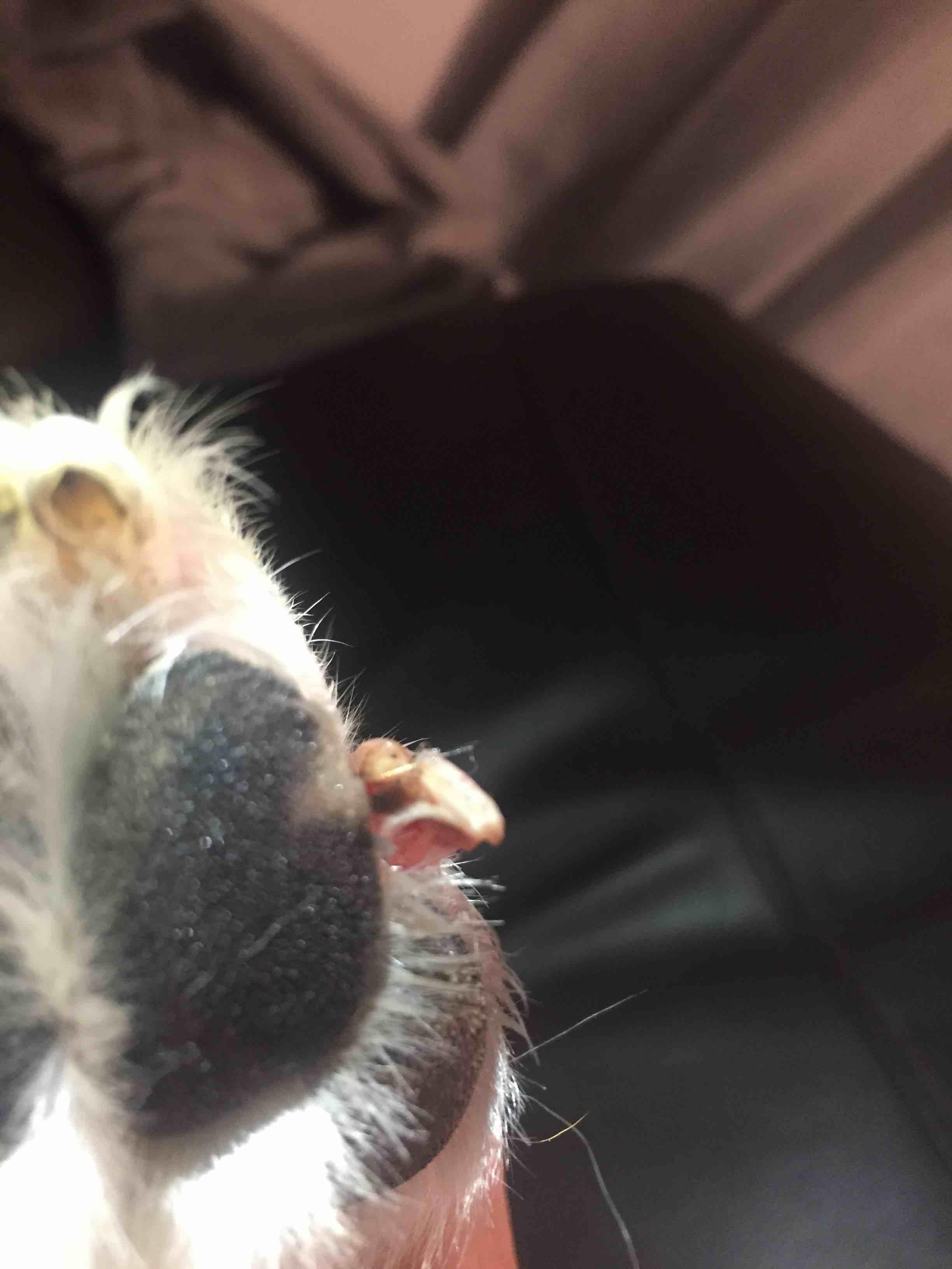 Question details sensitive content