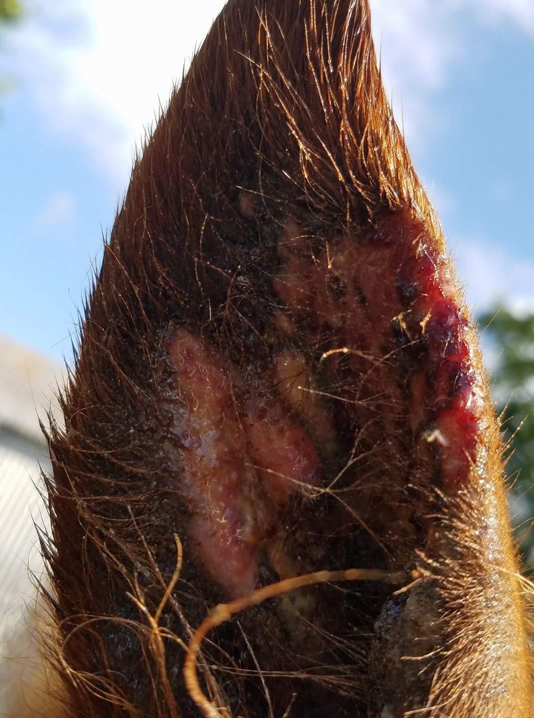 Question details sensitive content