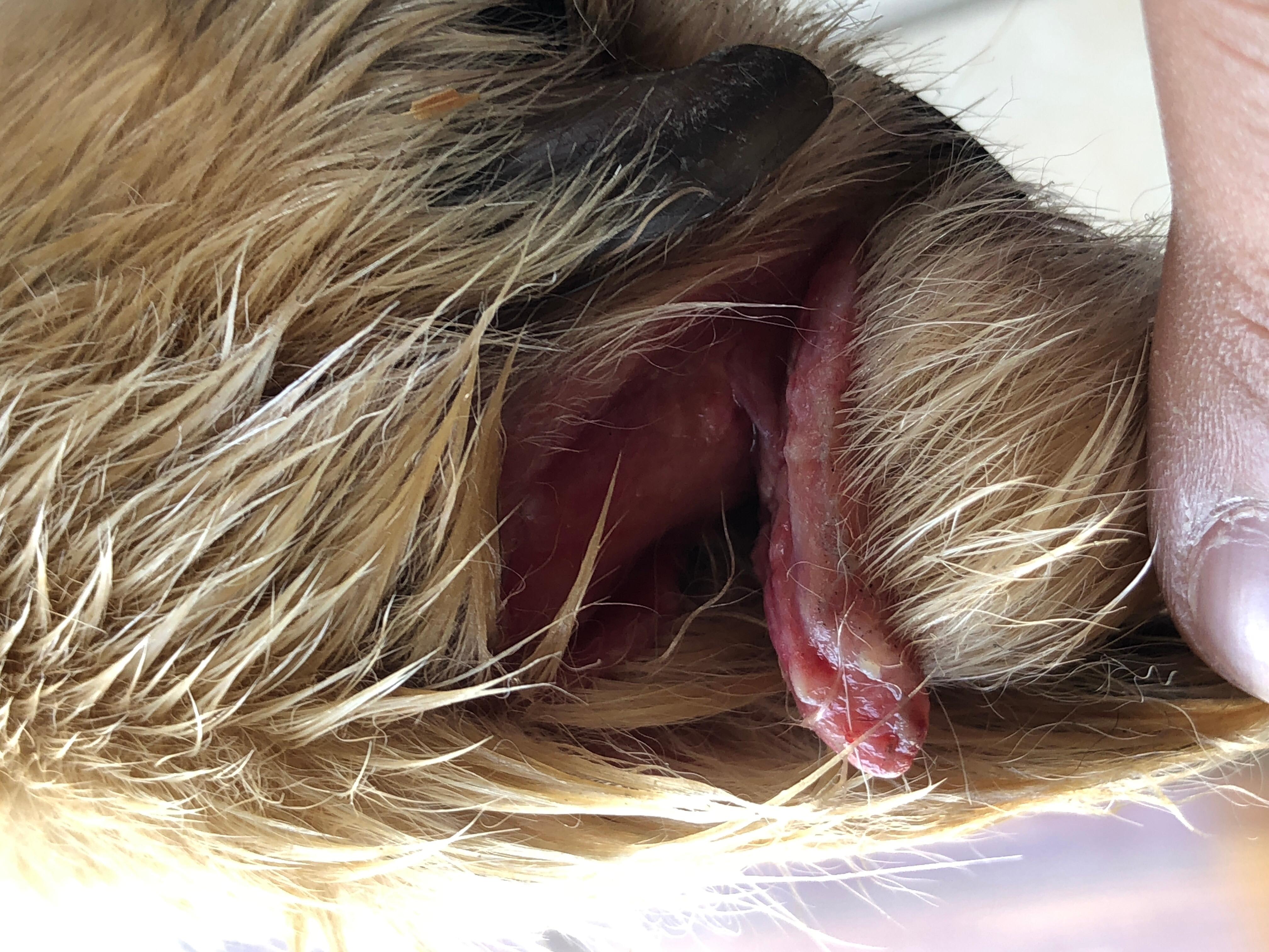 Question details sensitive content