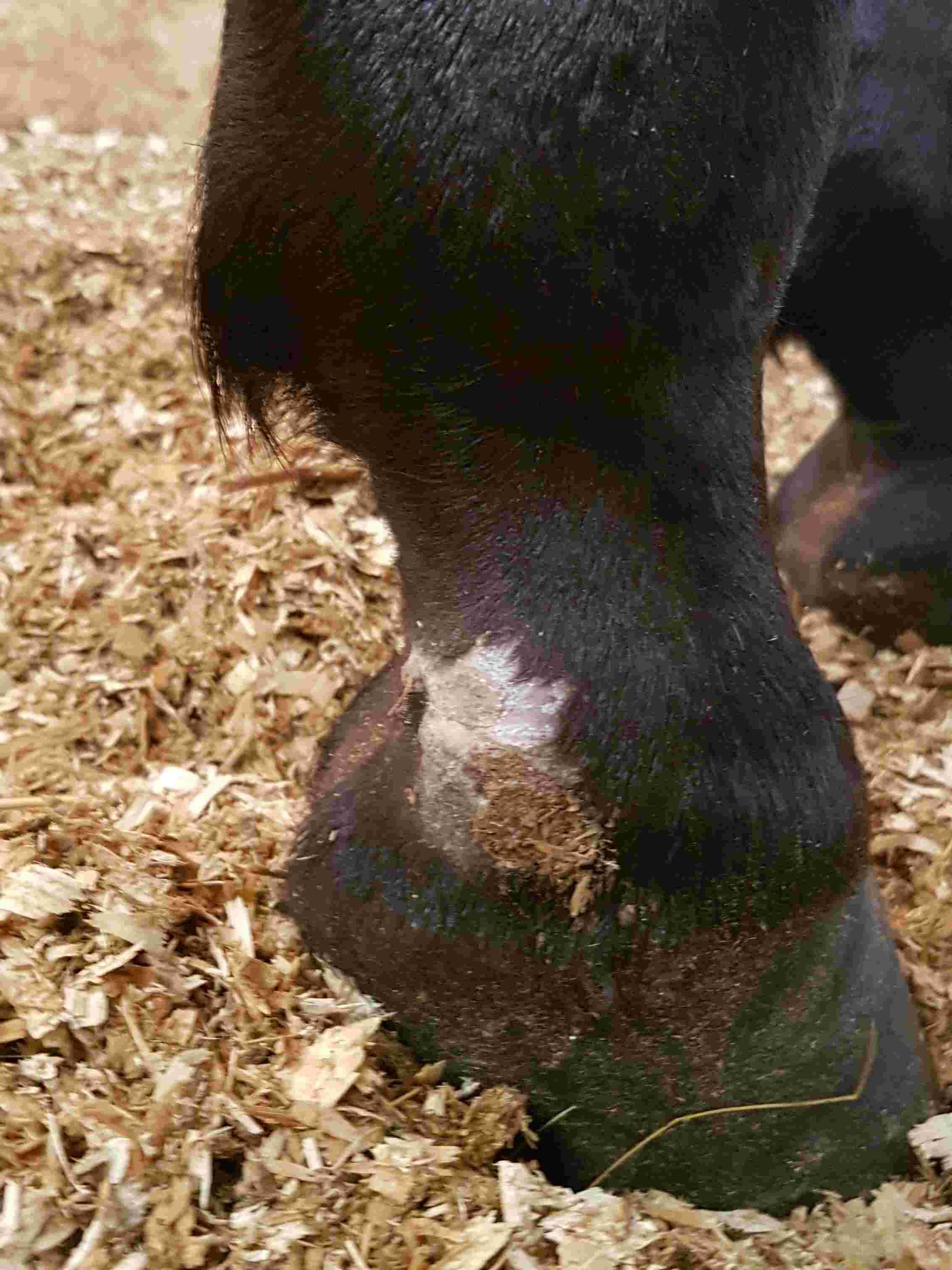 Question details sensitive content