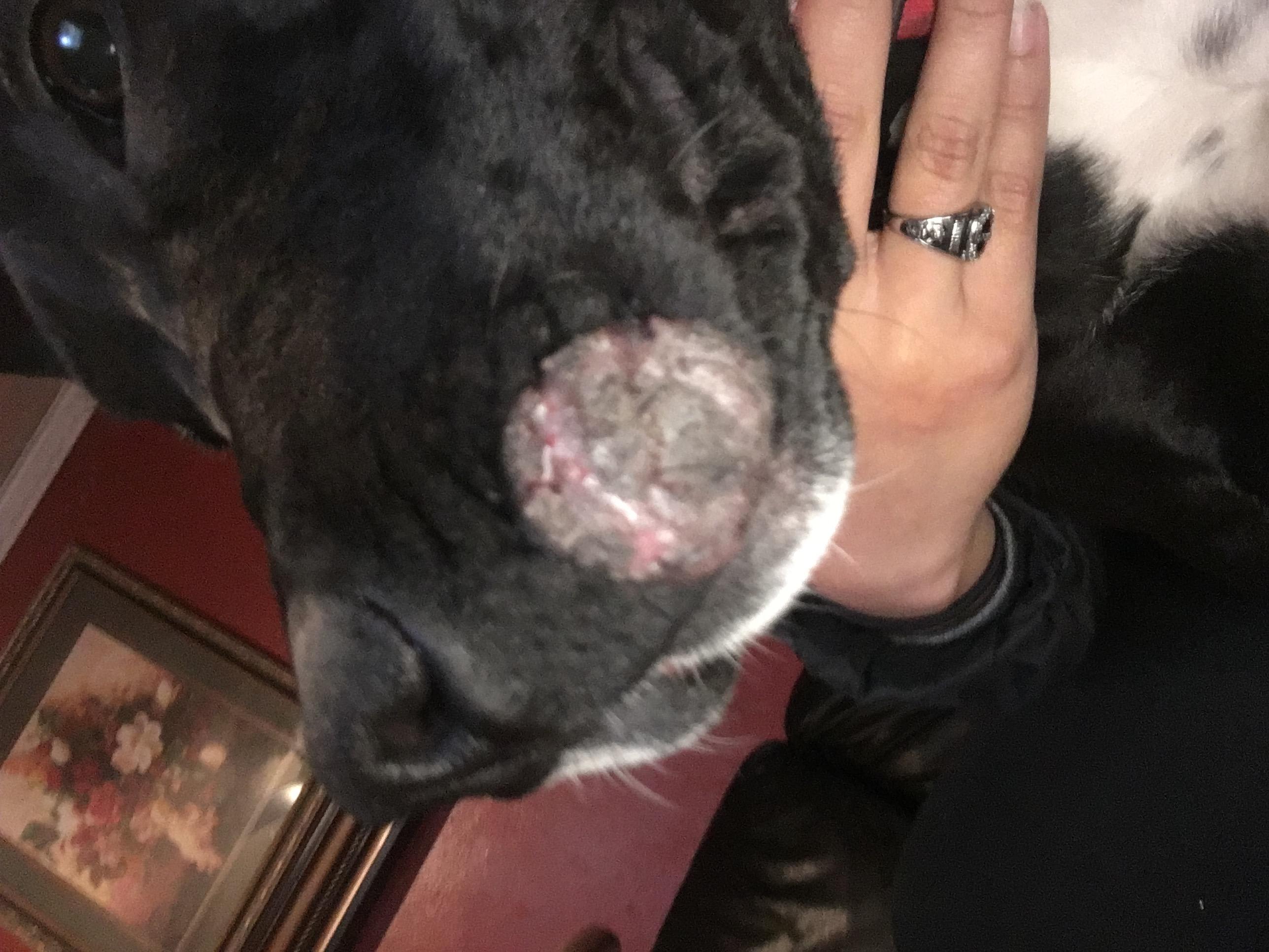 Question details sensitive content