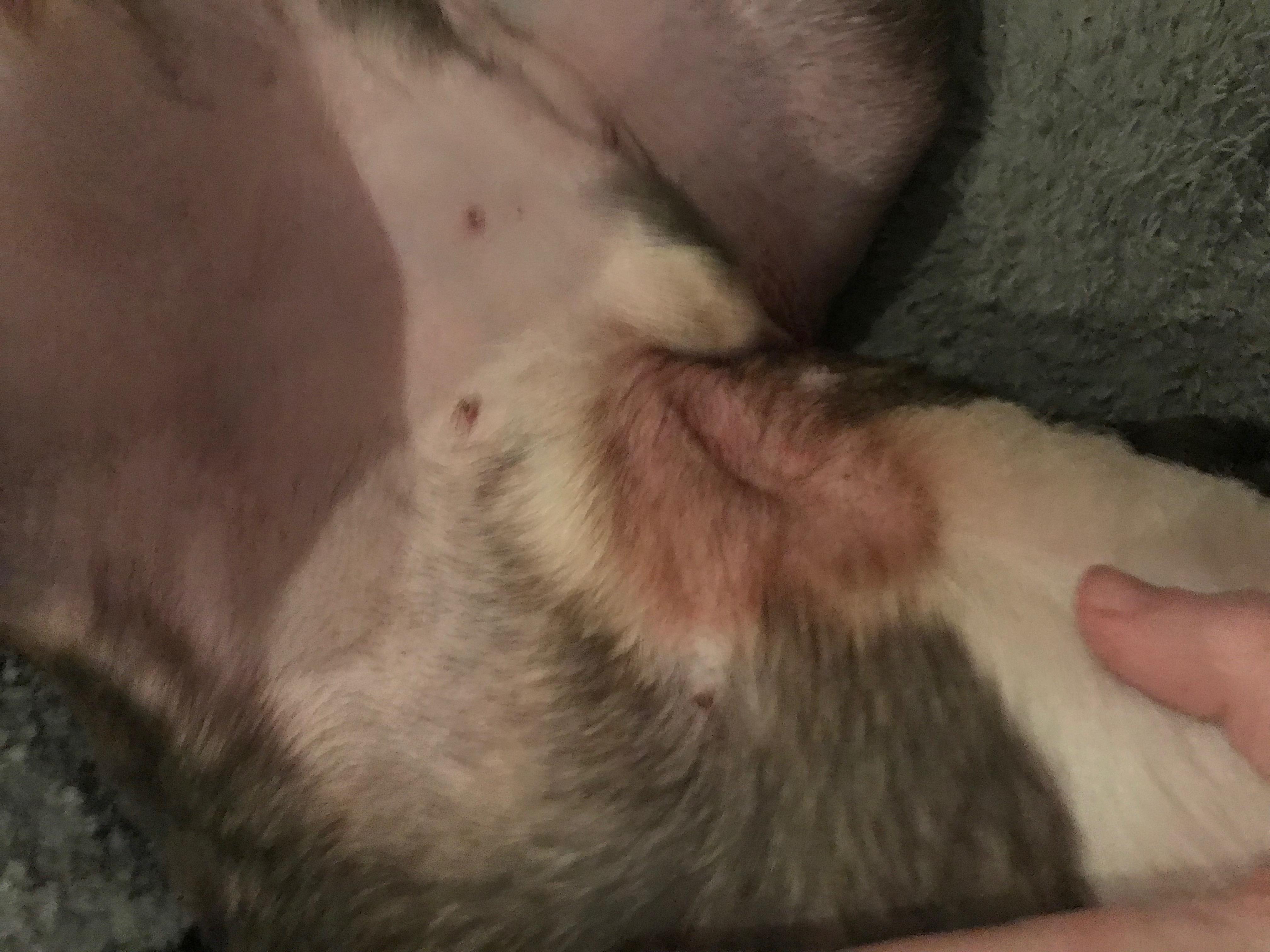 Question details sensitive content