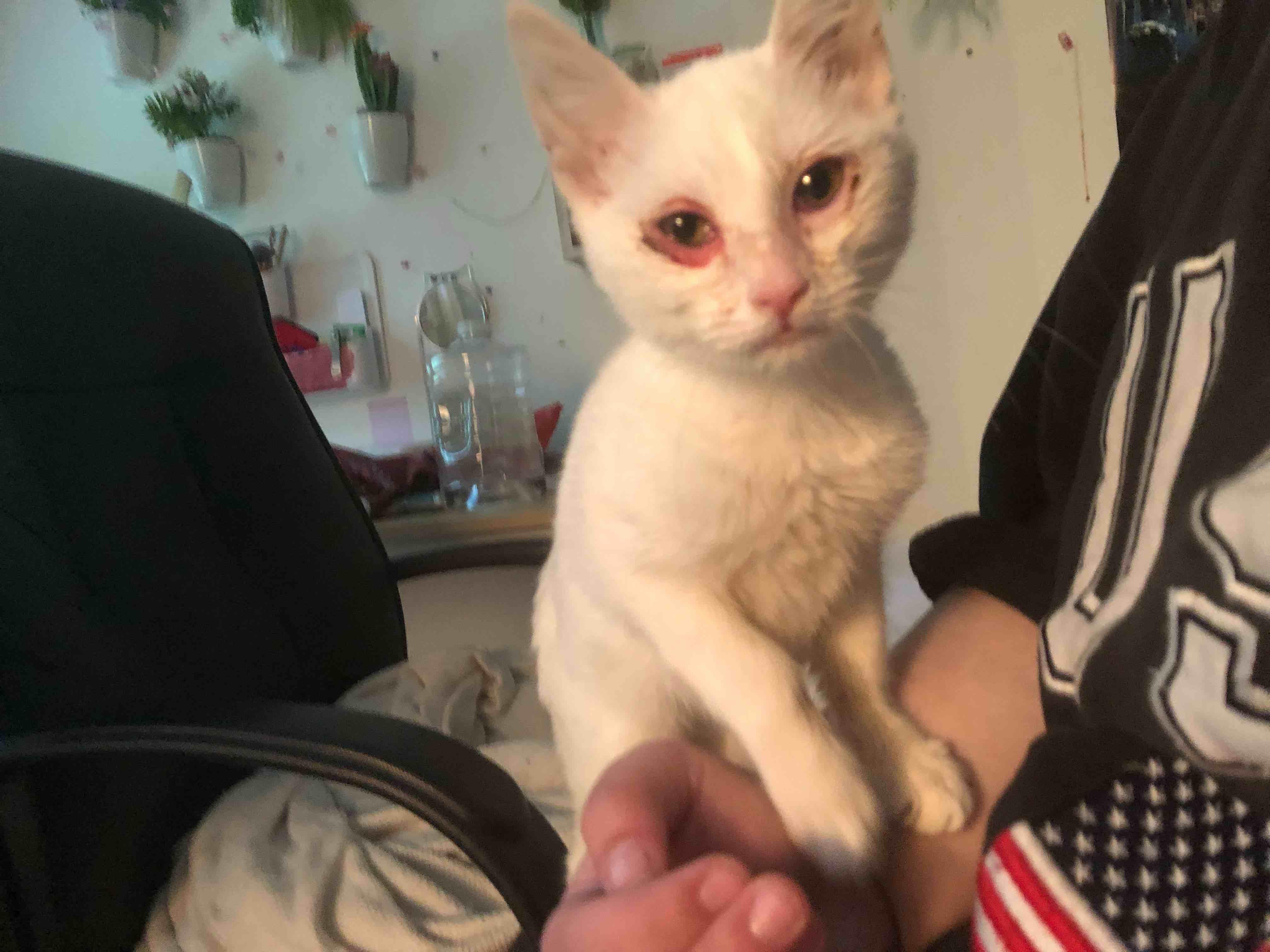 Question details sensitive content