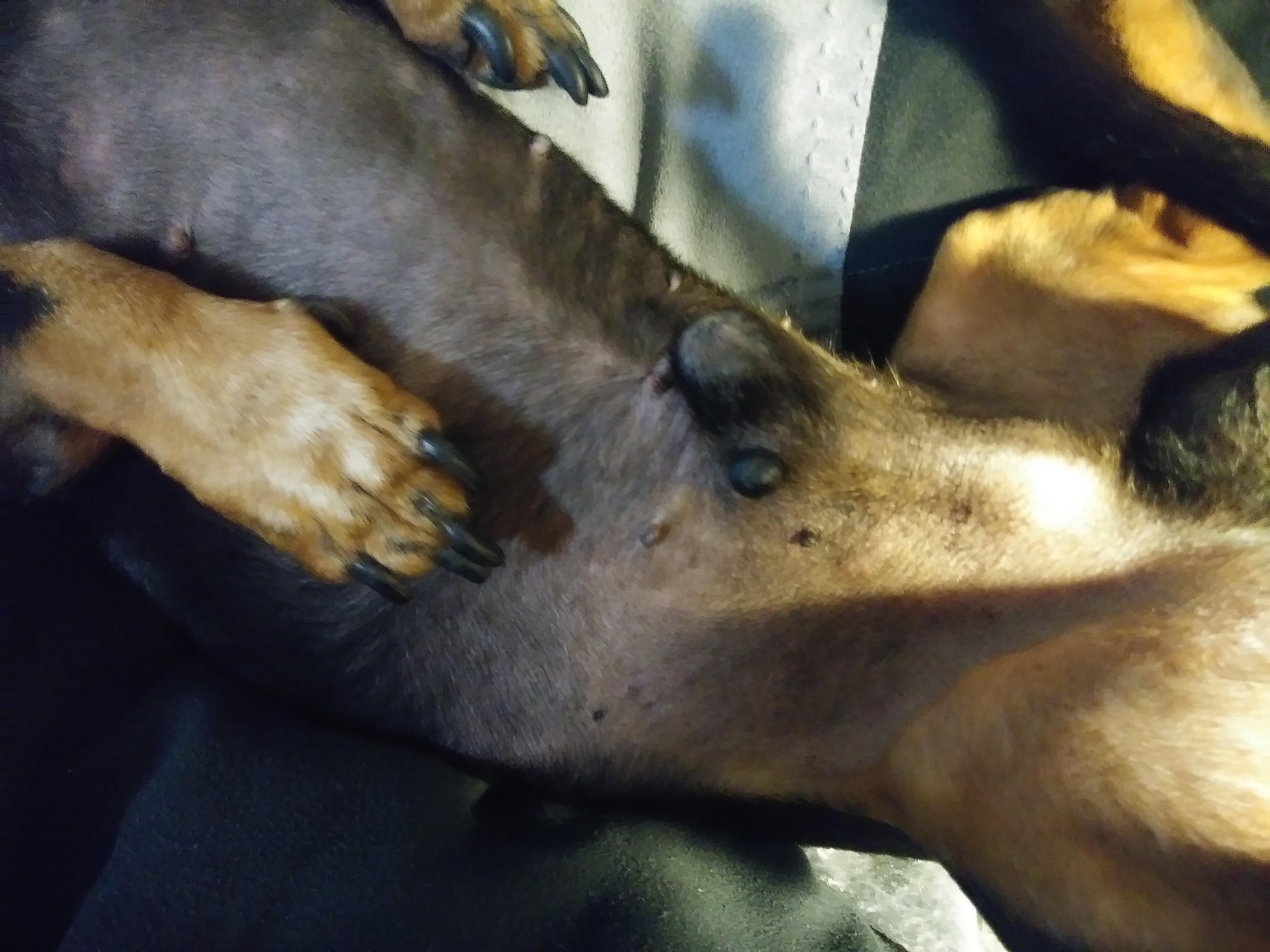 Question details sensitive content