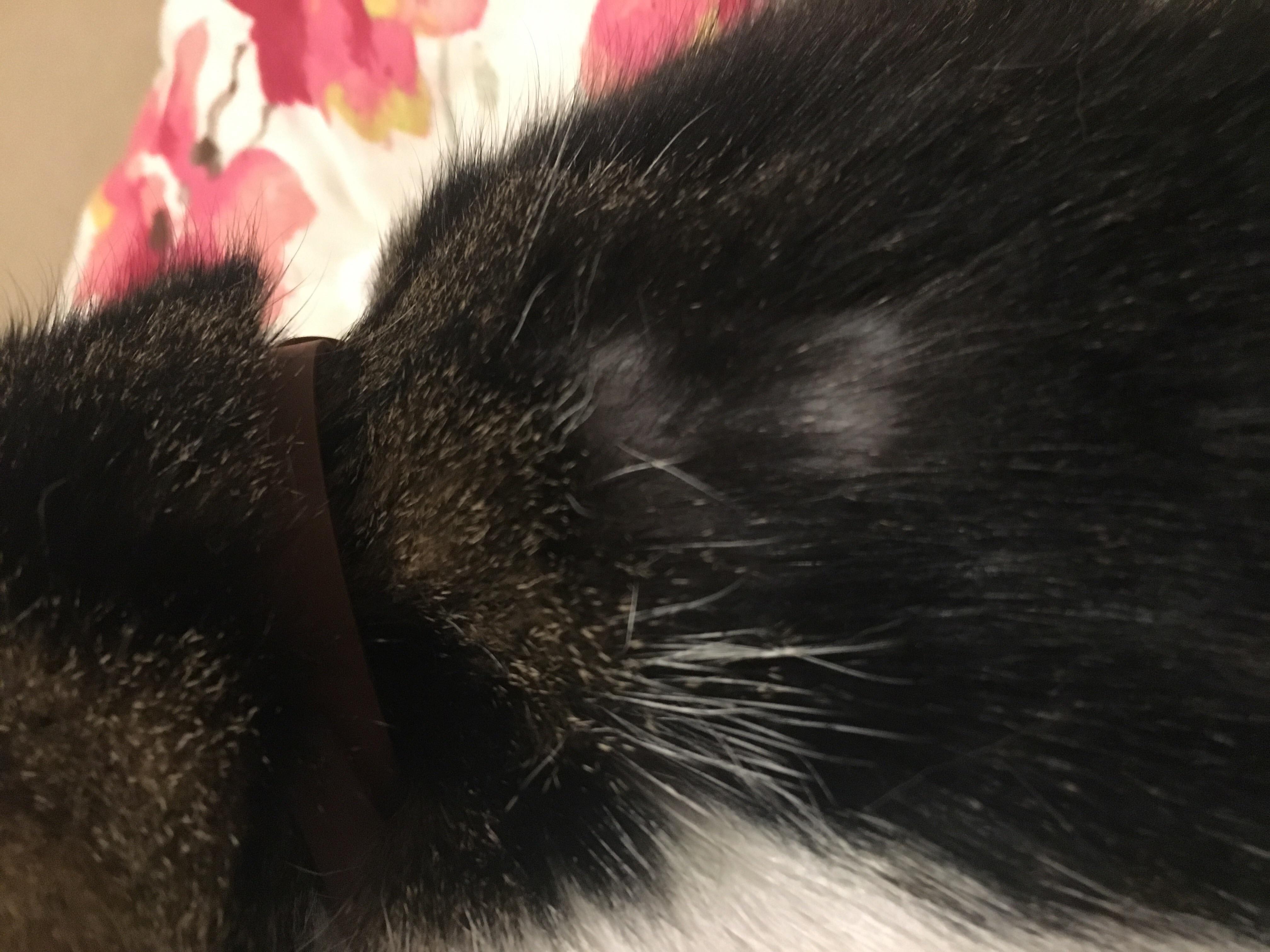 Question details sensitive content