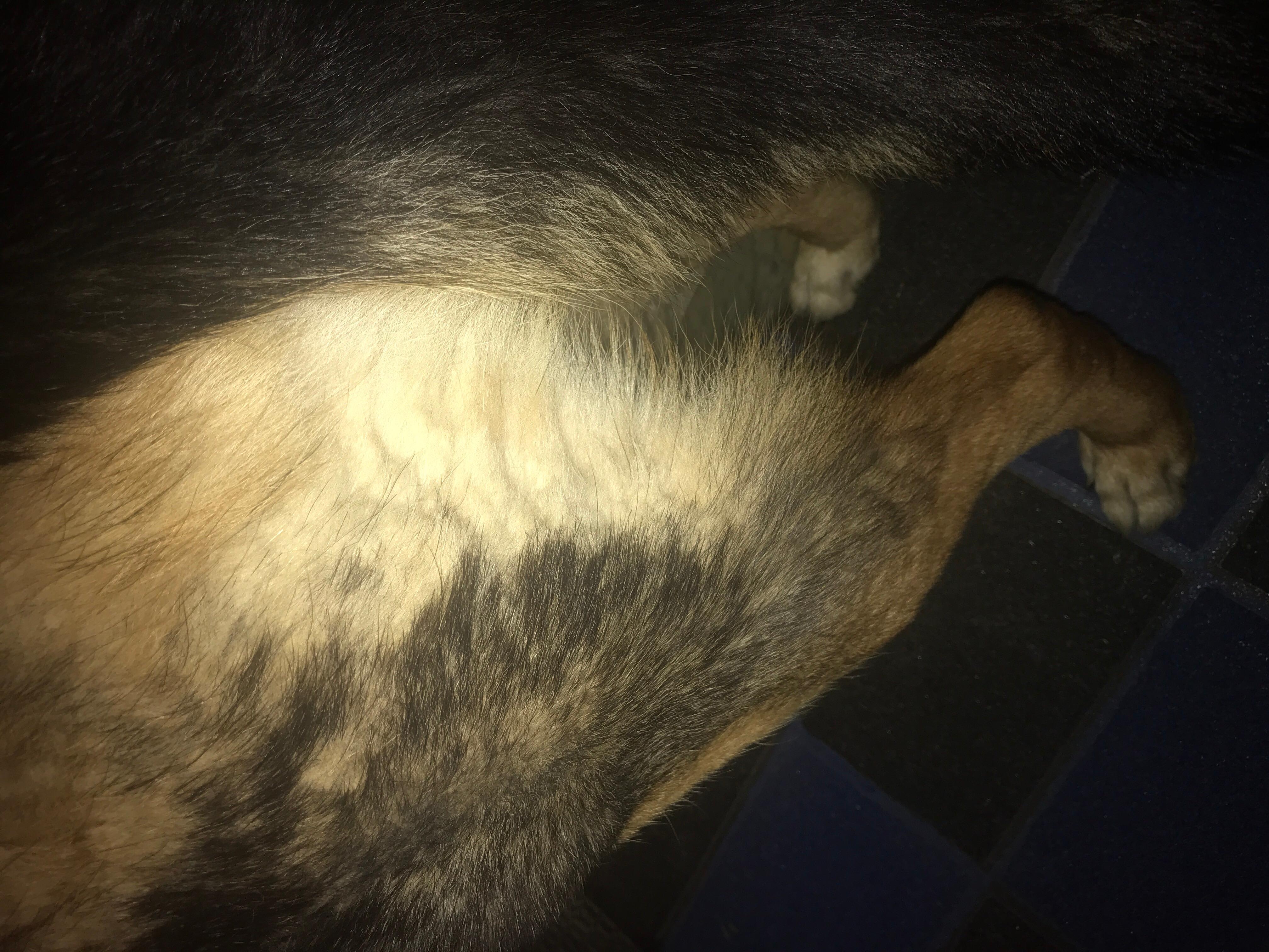 Question details sensitive content